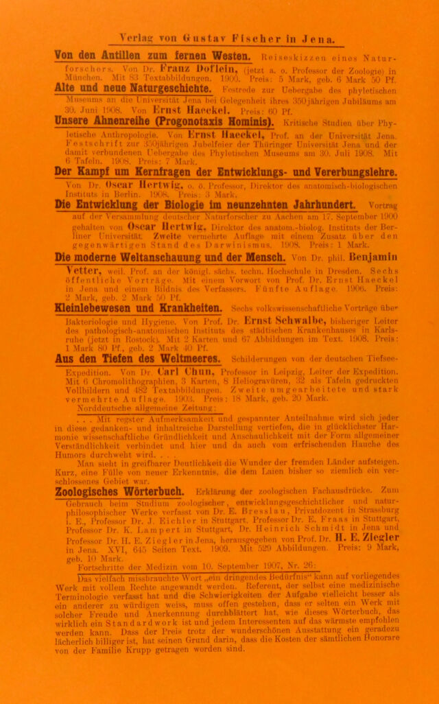 digitised image 2