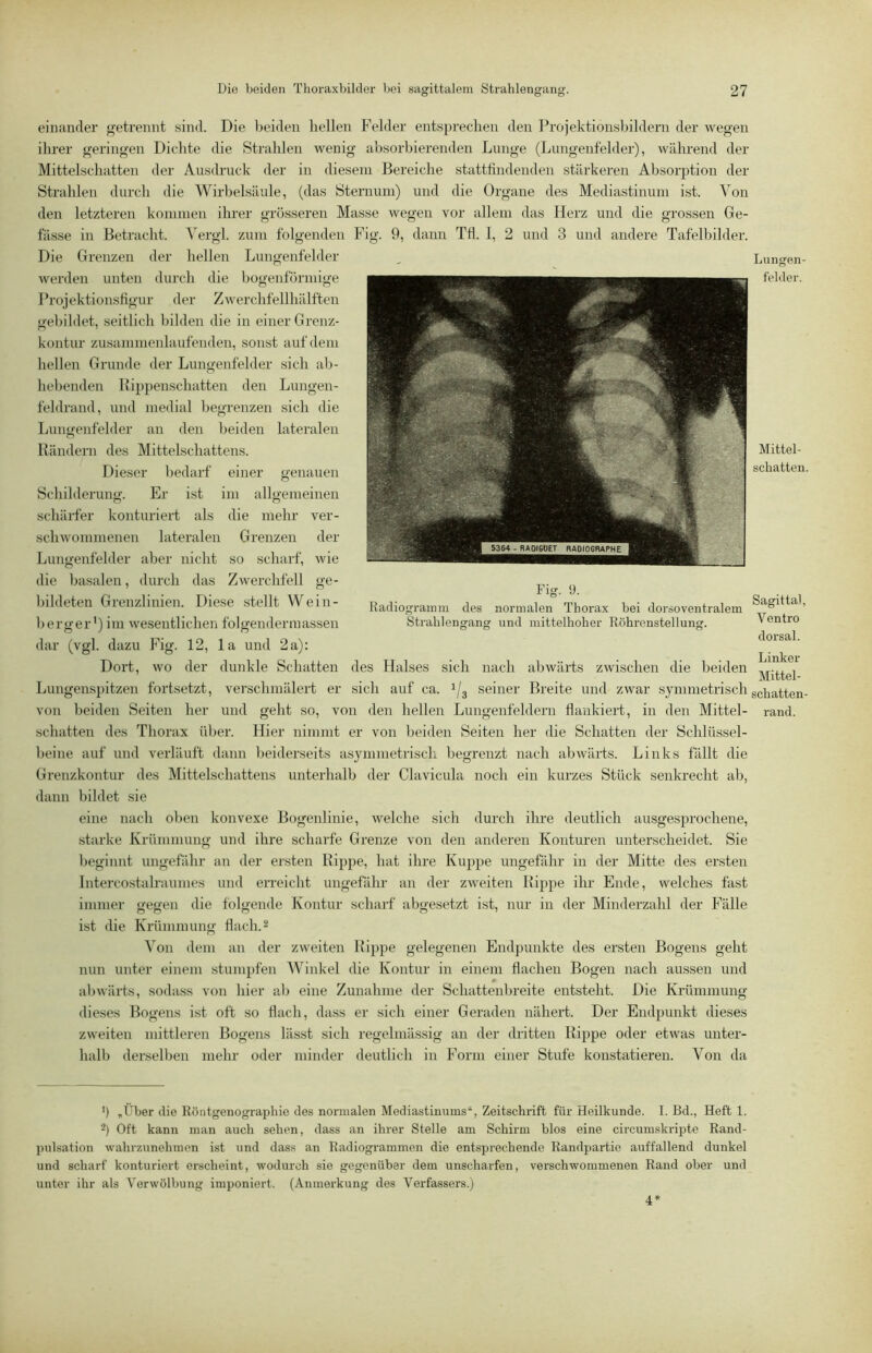einander getrennt sind. Die beiden hellen PVlder entsprechen den Projektionsbildern der wegen ihrer geringen Dichte die Strahlen wenig absorbierenden Lunge (Lungenfelder), während der Mittelschatten der Ausdruck der in diesem Bereiche stattfindenden stärkeren Absorption der Strahlen durch die Wirbelsäule, (das Sternum) und die Organe des Mediastinum ist. Von den letzteren kommen ihrer grösseren Masse wegen vor allem das Herz und die grossen Ge- fässe in Betracht. Vergl. zum folgenden Fig. 9, dann Tfl. I, 2 und 3 und andere Tafelbilder. Die Grenzen der hellen Lungenfelder werden unten durch die bogenförmige Projektionsfigur der Zwerchfellhälften gebildet, seitlich bilden die in einer Grenz- kontur zusammenlaufenden, sonst auf dem hellen Grunde der Lungenfelder sich ab- hebenden Kippenschatten den Lungen- feldrand, und medial begrenzen sich die Lungenfelder an den beiden lateralen Kändern des Mittelschattens. Dieser bedarf einer genauen Schilderung. Er ist im allgemeinen schärfer konturiert als die mehr ver- schwommenen lateralen Grenzen der Lungenfelder aber nicht so scharf, wie die basalen, durch das Zwerchfell ge- bildeten Grenzlinien. Diese stellt Wein- berger') im wesentlichen folgendermassen dar (vgl. dazu Fig. 12, la und 2a): Dort, wo der dunkle Schatten des Halses sich nach abwärts zwischen die beiden ... . Mittel- Lungenspitzen fortsetzt, verschmälert er sich auf ca. 1/3 seiner Breite und zwar symmetrisch g^patten von beiden Seiten her und geht so, von den hellen Lungenfeldern flankiert, in den Mittel- rand. schatten des Thorax über. Hier nimmt er von beiden Seiten her die Schatten der Schlüssel- beine auf und verläuft dann beiderseits asymmetrisch begrenzt nach abwärts. Links fallt die Grenzkontur des Mittelschattens unterhalb der Clavicula noch ein kurzes Stück senkrecht ab, dann bildet sie eine nach oben konvexe Bogenlinie, welche sich durch ihre deutlich ausgesprochene, starke Krümmung und ihre scharfe Grenze von den anderen Konturen unterscheidet. Sie beginnt ungefähr an der ersten Rippe, hat ihre Kujipe ungefähr in der Mitte des ersten Intercostalraumes und erreicht ungefähr an der zweiten Kijipe ihr Ende, welches fast immer gegen die folgende Kontur scharf abgesetzt ist, nur in der Minderzahl der Fälle ist die Krümmung flach. ^ Von dem an der zweiten Rijipe gelegenen Endpunkte des ersten Bogens geht nun unter einem stumpfen Winkel die Kontur in einem flachen Bogen nach aussen und abwärts, sodass von hier ab eine Zunahme der Schattenbreite entsteht. Die Krümmung dieses Bogens ist oft so flach, dass er sich einer Geraden nähert. Der Endpunkt dieses zweiten mittleren Bogens lässt sich regelmässig an der dritten Kippe oder etwas unter- halb derselben mehr oder minder deutlich in Form einer Stufe konstatieren. Von da Lungen- felder. Mittel- schatten. Fig. 9. g Kadiograinm des normalen Thorax bei dorsoventralem ° ‘ ’ Strahlengang und mittelhoher Röhronstellung. Ventro dorsal. T.inVnv ') „über die Röntgenographie des normalen Mediastinums“, Zeitschrift für Heilkunde. I. Bd., Heft 1. 2) Oft kann man auch sehen, dass an ihrer Stelle am Schirm blos eine circumskripte Rand- pulsation wahrzunehmen ist und dass an Radiogrammen die entsprechende Randpartie auffallend dunkel und scharf konturiert erscheint, wodurch sie gegenüber dem unscharfen, verschwommenen Rand ober und unter ihr als Verwölbung imponiert. (Anmerkung des Verfassers.) 4