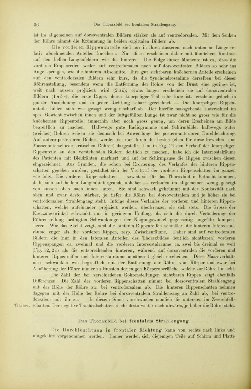 ist ini allgemeinen auf dorsoventralen Bildern stärker als auf ventrodorsalen. Mit dem Senken der Kühre nimmt die Ki'ümmung in beiden sagittalen Bildern ab. Die vorderen Ripjjenanteile sind nur in ihren äusseren, nach unten an Länge re- lativ abnehmenden Anteilen knöchern. Nur diese erscheinen daher mit ähnlichem Kontrast auf den hellen Lungenfeldern wie die hinteren. Die Folge dieser Momente ist es, dass die vorderen Bipj)enreifen weder auf ventrodorsalen noch auf dorsoventralen Bildern so sehr ins Auge springen, wie die hinteren Abschnitte. Ihre gut sichtbaren knöchernen Anteile ei'scheinen auf den ventrodorsalen Bildern sehr kurz, da die Synchondrosenlinie derselben bei dieser Röhrenstellung, besonders wenn die Entfernung der Röhre von der Brust eine geringe ist, weit nach aussen projiziert wird (2 ab); etwas länger erscheinen sie auf dorsoventralen Bildern {labe), die ei-ste Rippe, deren knorpeliger Teil sehr kurz ist, erscheint jedoch in ganzer Ausdehnung und in jeder Richtung scharf gezeichnet. — Die knorpeligen Rippen- anteile bilden sich wie gesagt weniger scharf ab. Der hierfür massgebende L^nterschied im spez. Gewicht zwischen ihnen und der luftgefüllten Lunge ist zwar nicht so gross wie für die knöchernen Rippenteile, immerhin aber noch gx’oss genug, um deren Erscheinen am Bilde begreiflich zu machen. Halbwegs gute Radiogramme und Schirmbilder halbwegs guter (weicher) Röhren zeigen sie demnach bei Anwendung der postero-anterioren Durchleuchtung. Auf antero-posterioren Bildern werden sie nur durch die besten (eben für diese Gewichts- und Massenunterschiede kritischen Röln-en) dargestellt. Um in Fig. 12 den Verlauf der knorpeligen Rippenteile an den vorstehenden Bildern deutlich zu machen, habe ich die Intercostalräume des Patienten mit Bleidrähten markiert und auf der Schirmpause die Rippen zwischen diesen eingezeichnet. Aus Gründen, die schon bei Erörterung des Verlaufes der hinteren Rippen- schatten gegeben wurden, gestaltet sich der Verlauf der vorderen Rippenschatten im ganzen wie folgt: Die vorderen Ripjxenschatten — soweit sie für das Thoraxbild in Betracht kommen, d. h. sich auf hellem Lungenhintergrunde ahhehen — verlaufen im allgemeinen wenig geneigt von aussen oben nach innen unten. Sie sind schwach gekrümmt mit der Konkavität nach oben und zwar desto stärker, je tiefer die Röhre bei dorsoventralem und je höher sie bei ventrodorsalen! Strahlengang steht. Infolge dieses Verlaufes der vorderen und hinteren Rippen- schatten, welche aufeinander projiziert werden, überki’euzen sie sich stets. Die Grösse der Kreuzungswinkel schwankt nur in geringem Umfang, da sich die durch Veränderung der Röhrenstellung bedingten Schwankungen der Neigungswinkel gegenseitig ungefähr kompen- sieren. Wie das Skelet zeigt, sind die hinteren Rippenreifen schmäler, die hinteren Intercostal- räunie enger als die vorderen Rippen, resp. Zwischenräume. Daher sind auf ventrodoralen Bildern die (nur in den lateralen Anteilen des Thoraxbildes deutlich sichtbaren) vorderen llippenspangen ca. zweimal und die vorderen Intercostalräume ca. zwei bis dreimal so weit (Fig. 12, 2c) als die entsprechenden hinteren, während auf dorsoventralen die vorderen und hinteren Rippenreifen und Intercostalräume annähernd gleich erscheinen. Diese Maassverhält- nisse schwanken wie begreiflich mit der Entfernung der Röhre vom Körper und zwar bei Annäherung der Röhre immer zu Gunsten derjenigen Körperoberfläche, welche zur Röhre hinsieht. Die Zahl der bei verschiedenen Röhrenstellungen sichtbaren Rippen zeigt ebenfalls Difterenzen. Die Zahl der vorderen Rippenschatten nimmt bei dorsoventralem Stralilengang mit der Höhe der Röhre zu, bei ventrodorsalen! ab. Die hinteren Rippenschatten nehmen dagegen mit der Höhe der Röhre bei dorsoventralem Strahlengang an Zahl ab, bei ventro- dorsalem mit ihr zu. — In diesem Sinne verschwinden nämlich die untersten im Zwerchfell- Trachea. schatten. Der negative Trachealschatten reicht desto weiter nach abwärts, je höher die Röhre steht. Das Thoraxbild bei frontalem Strahlengang. Die Durchleuchtung in frontaler Richtung kann von rechts nach links und umgekehrt vorgenommen werden. Immer werden sich diejenigen Teile auf Schirm und Platte