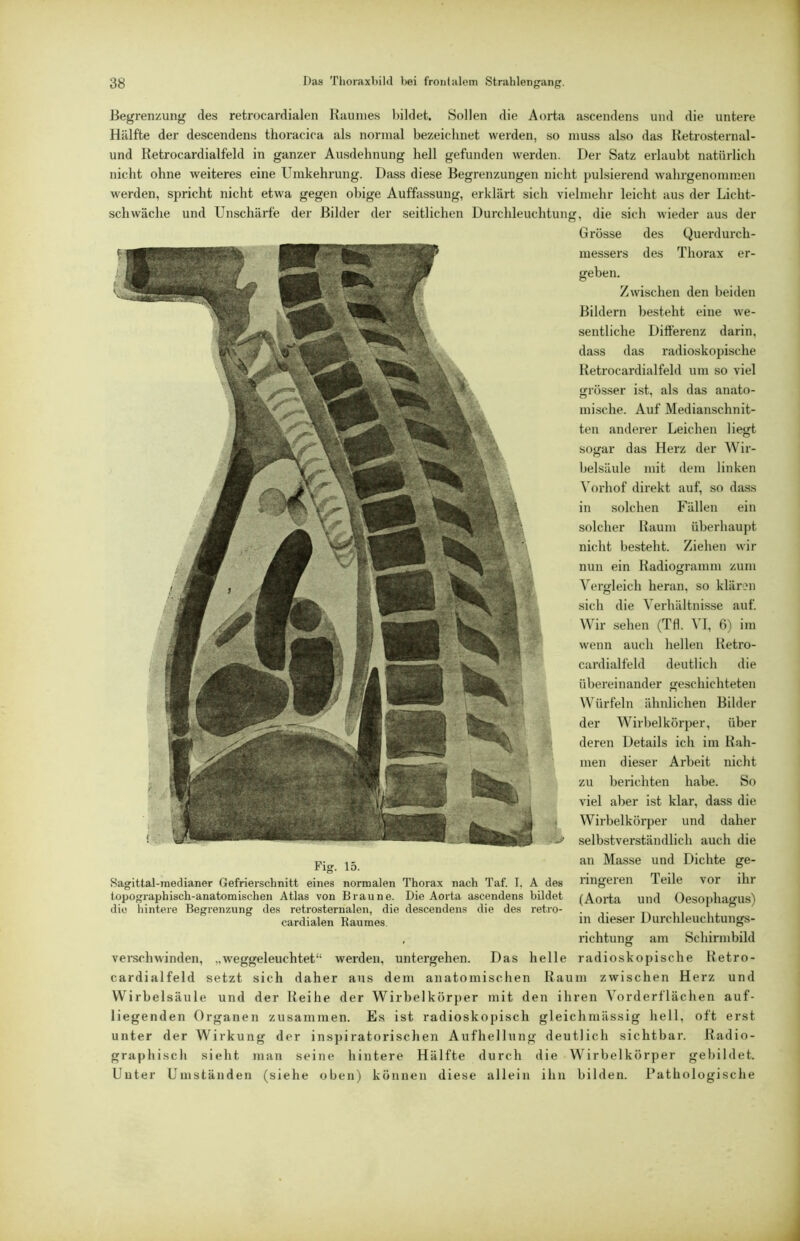 Begrenzung des retrocardialen Kaunies liildet. Sollen die Aorta ascendens und die untere Hälfte der descendens thoracica als normal bezeichnet werden, so muss also das Retrosternal- und Retrocardialfeld in ganzer Ausdehnung hell gefunden werden. Der Satz erlaubt natürlich nicht ohne weiteres eine Umkehrung. Dass diese Begrenzungen nicht pulsierend wahrgenommen werden, spricht nicht etwa gegen obige Auffassung, erklärt sich vielmehr leicht aus der Licht- schwäche und Unschärfe der Bilder der seitlichen Durchleuchtung, die sich wieder aus der Grosse des Querdurch- messers des Thorax er- geben. Zwischen den beiden Bildern besteht eine we- sentliche Differenz darin, dass das radioskopische Retrocardialfeld um so viel grösser ist, als das anato- mische. Auf Medianschnit- ten anderer Leichen liejjt sogar das Herz der Wir- belsäule mit dem linken Vorhof direkt auf, so dass in solchen Fällen ein solcher Raum überhaupt nicht besteht. Ziehen wir nun ein Radiogramm zum Vergleich heran, so klären sich die Verhältnisse auf. Wir sehen (Tfl. VI, 6) im wenn auch hellen Retro- cardialfeld deutlich die übereinander geschichteten W ürfeln ähnlichen Bilder der Wirbelkörper, über deren Details ich im Rah- men dieser Arbeit nicht zu berichten habe. So viel aber ist klar, dass die Wirbelkörper und daher selbstverständlich auch die an Masse und Dichte ge- ringeren Teile vor ihr (Aorta und Oesophagus) in dieser Durchleuchtungs- , richtung am Schirmbild ver.schwinden, „weggeleuchtet“ werden, untergehen. Das helle radioskopische Retro- cardialfeld setzt sich daher aus dem anatomischen Raum zwischen Herz und Wirbelsäule und der Reihe der Wirbelkörper mit den ihren Vorderflächen auf- liegenden Organen zusammen. Es ist radioskopisch gleichmässig hell, oft erst unter der Wirkung der inspiratorischen Aufhellung deutlich sichtbar. Radio- graphisch sieht man seine hintere Hälfte durch die Wirbelkörper gebildet. Unter Umständen (siehe oben) können diese allein ihn bilden. Pathologische 1 Fig. 15. Sagittal-medianer Gefrierschnitt eines normalen Thorax nach Taf. I, A des topographisch-anatomischen Atlas von Braune. Die Aorta ascendens bildet die hintere Begrenzung des retrosternalen, die descendens die des retro- cardialen Raumes.