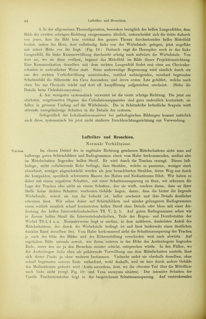 3. In der allgemeinen Thoraxfiguration, besonders bezüglich der hellen Lungenfelder, dem Bilde der zweiten schrägen Richtung einigermassen ähnlich, unterscheidet sich die dritte dadurch von jener, dass ihr Bild kein vertikal den ganzen Thorax durchsetzendes helles Mittelfeld besitzt, indem das Herz, dort vollständig links von der Wirbelsäule gelegen, jetzt ungefähr mit seiner Mitte vor ihr liegt. (Fig. 19.) Dadurch ragt die Herzspitze noch in das linke Lungenfeld, die linke Kammerwölbung durchzieht schräg nach aufwärts die Wii'belsäule. Von dort an, wo sie diese verlässt, beginnt das Mittelfeld im Bilde dieser Projektionsrichtung. Eine Kommunikation desselben mit dem rechten Lungenfeld findet erst oben am Clavicular- schatten in undeutlicher Weise statt. Seine anderweitige Begrenzung wrd nämlich durch ein aus der rechten Vorhofswölbung austretendes, vertikal aufsteigendes, unscharf begrenztes Schattenbild die Silhouette des Cava descendens und deren ersten Äste gebildet, welche nach oben bis zur Clavicula reicht und dort oft knopfförmig aufgetrieben erscheint. (Siehe die Details beim Cirkulationssystem.) 4. Am wenigsten systematisch verwertet ist die vierte schräge Richtung. Die jetzt am stärksten vergrösserten Organe des Cirkulationsapparates sind ganz undeutlich konturiert; sie fallen in grossem Umfang auf die Wirbelsäule. Die in Schirmhöhe befindliche Scapula wirft störende unregelmässige Schatten in die Details der ersteren. Gelegentlich der Lokalisationsmanöver bei pathologischen Bildungen kommt natürlich auch diese, systematisch bis jetzt nicht studierte Durchleuchtungsrichtung zur Verwendung. Luftröhre und Bronchien. Normale Verhältnisse. Trachea. Im oberen Drittel des in sagittaler Richtung gesehenen Mittelschattens sieht man auf halbwegs guten Schirmbildern und Radiogrammen einen vom Halse herkommenden, median also im Mittelschatten liegenden hellen Streif. Er wird durch die Trachea erzeugt. Dieses luft- haltige, nicht collabierende Rohr bedingt, dass Strahlen, welche es passieren, weniger stark absorbiert, weniger abgeschwächt werden als jene benachbarten Strahlen, deren Weg nur durch die kompakten, spezifisch schwereren Massen des Halses und Älediastinums führt. Wir haben es daher mit einem negativen Schatten, mit einer Schattenaussparung zu thun, wir erkennen die Lage der Trachea also nicht an einem Schatten, den sie wirft, sondern daran, dass an ihrer Stelle keine dichten Schatten werfenden Gebilde liegen, daran, dass die hinter ihr liegende Wirbelsäule, soweit sie von ihr bedeckt ist, heller erscheint und ihre Details deutlicher erkennen lässt. Wir sehen daher auf Schirmbildern und minder gelungenen Radiogrammen einen seitlich ziemlich scharf konturierten hellen Streif ohne Details oder bloss mit einer An- deutung der hellen Intervertebralscheiben Tfl. V, 2, 5. Auf guten Radiogrammen sehen wir in diesem hellen Streif die Intervertebralscheiben, Teile der Bogen- und Dornfortsätze der Wirbel Tfl. I, 4 u. a. Normalerweise liegt er median, in dem mittleren, dunkelsten Anteil des Mittelschattens, der durch die Wirbelsäule bedingt ist und lässt beiderseits einen deutlichen dunklen Rand derselben frei. Vom Halse herkommend zieht die Schattenaussparung der Trachea je nach der Güte des Bildes und der Röhrenstellung verschieden weit nach abwärts. Auf sagittalem Bilde niemals soweit, wie ihi-em' unteren in der Höhe des Aortenbogens liegenden Ende, unter den sie ja den Bronchus sinister schickt, entsprechen würde. In den Fällen, wo der Aortenbogen links oben als pulsierende Vor Wölbung aus dem Mittelschatten austritt, lässt sich dieser Punkt ja ohne weiteres bestimmen. Vielmehr endet sie oberhalb desselben, ohne scharf begrenztes unteres Ende verlaufend, wohl deshalb, weil sie hier durch andere Gebilde des Mediastinums gedeckt wird (Aorta ascendens, dort, wo ihr oberster Teil über die Mittellinie nach links zieht (vergl. Fig. 10) und Vena anonyma sinistra). Der intensive Schatten der Ganüle Tracheotomierter liegt in der besprochenen Schattenaussparung. Auf ventrodorsalen