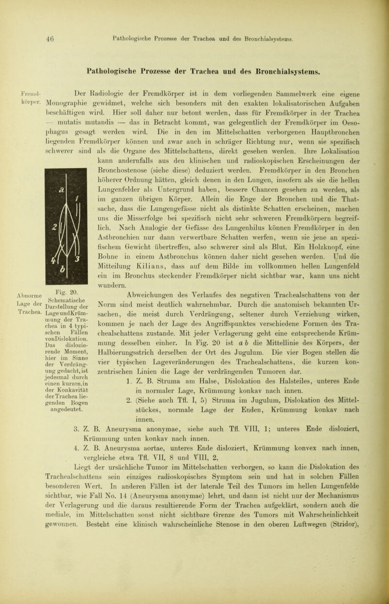 Fri'iiid- körpcr. Ahnorme Lage der Trachea. Pathologische Prozesse der Trachea iiud des Bronchialsystems. Der Radiologie der P^enidkörper ist in dem vorliegenden Saninielwerk eine eigene Moiiograplüe gewidmet, welche sich besonders mit den exakten lokalisatorischen Aufgaben beschäftigen wird. Hier soll daher nur betont werden, dass für Fremdkör2)er in der Trachea — niutatis mutandis — das in Betracht kommt, was gelegentlich der Fremdkör2)er im Oeso- phagus gesagt werden wird. Die in den im Mittelschatten verborgenen Hauptbronchen liegenden Kremdköi'per können und zwar auch in schräger Richtung nur, wenn sie spezifisch schwerer sind als die Organe des Mittelschattens, direkt gesehen Averden. Ihre Lokalisation kann andernfalls aus den klinischen und radiosko])ischen Erscheinungen der Bronchostenose (siehe diese) deduziert werden. Fremdköi'per in den Bronchen höherer Ordnung hätten, gleich denen in den Lungen, insofern als sie die hellen Lungenfelder als Untergrund haben, bessere Chancen gesehen zu werden, als im ganzen übrigen Körper. Allein die Enge der Bronchen und die That- sache, dass die Lungengefässe nicht als distinkte Schatten erscheinen, machen uns die Misserfolge bei sjjezifisch nicht sehr schweren Fremdkör[)ern begreif- lich. Nach Analogie der Gefässe des Lungenhilus können Fremdkörper in den Astl)ronchien nur dann verwertbare Schatten werfen, Avenn sie jene an spezi- fischem GeAvicht übertreffen, also scliAverer sind als Blut. Ein Holzknopf, eine Bohne in einem Astbronchus können daher nicht gesehen Averden. Und die Mitteilung Kilians, dass auf dem Bilde im vollkommen hellen Lungenfeld ein im Bronchus steckender Fremdkörper nicht sichtbar Avar, kann uns nicht Avundern. AbAveichungen des Verlaufes des nefjativen Trachealschattens von der Norm sind meist deutlich wahrnehmbar. Durch die anatomisch bekannten Ur- sachen, die meist durch Verdrängung, seltener durch Verziehung Avirken, kommen je nach der Lage des Angriffspunktes verschiedene Formen des Tra- chealschattens zustande. Mit jeder Verlagerung geht eine entsjArechende Krüm- mung desselben einher. In Fig. 20 ist a h die Mittellinie des Körpers, der Halbierungsstrich derselben der Ort des Jugulum. Die vier Bogen stellen die vier tyjAischen Lageveränderungen des Trachealschattens, die kurzen kon- zentrischen Linien die Lase der verdrän<;enden Tumoren dar. 1. Z. B. Struma am Halse, Disslokation des Halsteiles, untei'es Ende in normaler Lage, Krümmung konkav nach innen. 2. (Siehe auch Tfl. I, 5) Struma im Jugulum, Dislokation des Mittel- stückes, normale Lage der Enden, Krümmung konkav nach innen. 3. Z. B. Aneurysma anonymae, siehe auch Tfl. VIII, 1; unteres Ende disloziert, Krümmung unten konkav nach innen. 4. Z. B. Aneurysma aortae, unteres Ende disloziert, Krümmung konvex nach innen, vergleiche etAva Tfl. VII, 8 und VIII, 2, Liegt der ursächliche Tumor im Mittelschatten verborgen, so kann die Dislokation des Trachealschattens sein einziges radioskopisches SymiAtom sein und hat in solchen Fällen besonderen Wert. In anderen Fällen ist der laterale Teil des Tumors im hellen Lungenfelde sichtbar, Avie Fall No. 14 (Aneui'ysma anonymae) lehrt, und dann ist nicht nur der Mechanismus der Verlagerung und die daraus resultiei'ende Form der Trachea aufgeklärt, sondern auch die mediale, im Mittelschatten sonst nicht sichtbare Grenze des Tumors mit Wahrscheinlichkeit geAvonnen. Besteht eine klinisch wahi'scheinliche Stenose in den oberen Luftwegen (Stridor), Fig. 20. Schematische Darstellung der Lage undKrüm- mung der Tra- chea in 4 typi- schen Fällen vonDislokation. Das dislozie- rende Moment, hier im Sinne der Verdräng- ung gedacht, ist jedesmal durch einen kurzen,in der Konkavität der Trachea lie- genden Bogen angedeutet.