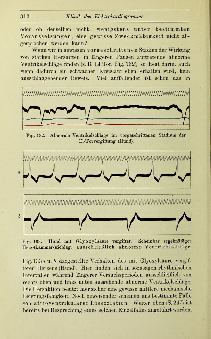 oder ob denselben nicht, wenigstens unter bestimmten Voraussetzungen, eine gewisse Zweckmäßigkeit nicht ab- gesprochen werden kann? Wenn wir in gewissen vorgeschrittenen Stadien der Wirkung von starken Herzgiften in längeren Pausen auftretende abnorme Ventrikelschläge finden (z,B. El Tor, Fig. 132), so liegt darin, auch wenn dadurch ein schwacher Kreislauf eben erhalten wird, kein ausschlaggebender Beweis. Viel auffallender ist schon das in Fig. 132. Abnorme Ventrikelschläge im vorgeschrittenen Stadium der El-Torvergiftung (Hund). Fig. 133. Hund mit Griyoxylsäure vergiftet. Scheinbar regelmäßiger Herz-(kammer-)Schlag: ausschließlich abnorme Ventrikelschläge. Fig. 133 ou. 6 dargestellte Verhalten des mit Glyoxylsäure vergif- teten Herzens (Hund). Hier finden sich in sozusagen rhythmischen Intervallen während längerer Versuchsperioden ausschließlich von rechts oben und links unten ausgehende abnorme Ventrikelschläge. Die Herzaktion besitzt hier sicher eine gewisse mittlere mechanische Leistungsfähigkeit. Noch beweisender scheinen uns bestimmte Fälle von atrioventrikulärer Dissoziation. Weiter oben (S. 247) ist bereits bei Besprechung eines solchen Einzelfalles angeführt worden.