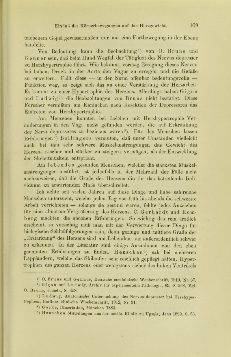 triebenem Göpel gewissermaßen nur um eine Fortbewegung in der Ebene bandelte. Von Bedeutung kann die Beobachtung1 2) von 0. Bruns und Genner sein, daß beim Hund Wegfall der Tätigkeit des Nervus depressor zu Herzhypertrophie führt. Wie bekannt, vermag Erregung dieses Nerven bei hohem Druck in der Aorta den Vagus zu erregen und die Gefäße zu erweitern. Fällt diese — in der Norm offenbar bedeutungsvolle — Funktion weg, so zeigt sich das an einer Verstärkung der Herzarbeit. Es kommt zu einer Hypertrophie des Herzens. Allerdings haben Gigon und Ludwig-) die Beobachtungen von Bruns nicht bestätigt. Diese Forscher vermißten am Kaninchen nach Resektion der Depressores das Eintreten von Herzhypertrophie. Am Menschen konnten bei Leichen mit Herzhypertrophie Ver- änderungen in den Vagi nicht gefunden werden, die auf Erkrankung der Nervi depressores zu beziehen wären3). Für den Menschen lassen Erfahrungen4) Bollingers vermuten, daß unter Umständen vielleicht auch bei ihm sehr schwere Muskelanstrengungen das Gewicht des Herzens rascher und stärker zu steigern vermögen, als der Entwicklung der Skelettmuskeln entspricht. Am lebenden gesunden Menschen, welcher die stärksten Muskel- anstrengungen ausführt, ist jedenfalls in der Mehrzahl der Fälle nicht nachzuweisen, daß die Größe des Herzens die für das betreffende Indi- viduum zu erwartenden Maße überschreitet. Ich achte seit vielen Jahren auf diese Dinge und habe zahlreiche Menschen untersucht, welche jeden Tag von früh bis abends die schwerste Arbeit verrichteten — solange sie gesund waren, fehlte jedes Anzeichen für eine abnorme Vergrößerung des Herzens. C. Gerhardt und Rom- berg machten die gleichen Erfahrungen. So wichtig das rein ärztlich erscheint, so vorsichtig muß man mit der Verwertung dieser Dinge für biologische Schlußfolgerungen sein, denn geringe und mittlere Grade der „Erstarkung“ des Herzens sind am Lebenden nur außerordentlich schwer zu erkennen. In der Literatur sind einige Ausnahmen von den eben genannten Erfahrungen zu finden. Henschen5) sah bei mehreren Lappländern, welche das Skilaufen sehr reichlich gepflegt hatten, Hyper- trophien des ganzen Herzens oder wenigstens sicher des linken Ventrikels J) O. Bruns und Genner, Deutsche medizinische Wochenschrift, 1910, Nr. 37. 2) Gigon und Ludwig, Archiv für experimentelle Pathologie, 69, S. 268, Vgl. O. Bruns, ebenda, S. 458. :!) Ludwig, Anatomische Untersuchung des Nervus depressor bei Herzhyper- trophien, Berliner klinische Wochenschrift, 1912, Nr. 31. 9 Gocke, Dissertation, München 1883. 5) Henschen, Mitteilungen aus der mediz. Klinik zu Upsala, Jena 1899, S. 53.