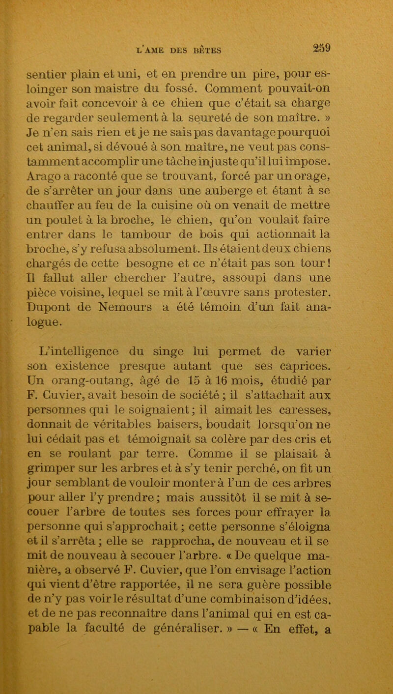 sentier plain et uni, et en prendre un pire, pour es- loinger son maistre du fossé. Gomment pouvait-on avoir fait concevoir à ce chien que c’était sa charge de regarder seulement à la seureté de son maître. » Je n’en sais rien et je ne sais pas davantage pourquoi cet animal, si dévoué à son maître, ne veut pas cons- tamment accomplir une tâche injuste qu’il lui impose. Arago a raconté que se trouvant, forcé par un orage, de s’arrêter un jour dans une auberge et étant à se chauffer au feu de la cuisine où on venait de mettre un poulet à la broche, le chien, qu’on voulait faire entrer dans le tambour de bois qui actionnait la broche, s’y refusa absolument. Ils étaient deux chiens chargés de cette besogne et ce n’était pas son tour ! Il fallut aher chercher l’autre, assoupi dans une pièce voisine, lequel se mit à l’oeuvre sans protester. Dupont de Nemours a été témoin d’un fait ana- logue. L’intelligence du singe lui permet de varier son existence presque autant que ses caprices. Un orang-outang, âgé de 15 à 16 mois, étudié par F. Cuvier, avait besoin de société ; il s’attachait aux personnes qui le soignaient; il aimait les caresses, donnait de véritables baisers, boudait lorsqu’on ne lui cédait pas et témoignait sa colère par des cris et en se roulant par terre. Gomme il se plaisait à grimper sur les arbres et à s’y tenir perché, on fit un jour semblant de vouloir monter à l’un de ces arbres pour aller l’y prendre ; mais aussitôt il se mit à se- couer l’arbre de toutes ses forces pour effrayer la personne qui s’approchait ; cette personne s’éloigna et il s’arrêta ; elle se rapprocha, de nouveau et il se mit de nouveau à secouer l’arbre. « De quelque ma- nière, a observé F. Cuvier, que l’on envisage l’action qui vient d’être rapportée, il ne sera guère possible de n’y pas voirie résultat d’une combinaison d’idées, et de ne pas reconnaître dans l’animal qui en est ca- pable la faculté de généraliser. » — « En effet, a