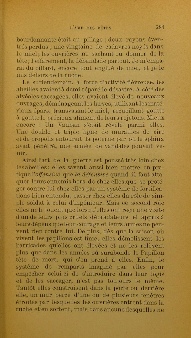 bourdonnante était au pillage ; deux rayons éven- trés perdus ; une vingtaine de cadavres noyés dans le miel ; les ouvrières ne sachant ou donner de la tête ; l’effarement, la débandade partout. Je m’empa- rai du pillard, encore tout englué de miel, et je le mis dehors de la ruche. Le surlendemain, à force d’activité fiévreuse, les abeilles avaient à demi réparé le désastre. A côté des alvéoles saccagées, elles avaient élevé de nouveaux ouvrages, déménageant les larves, utilisant les maté- riaux épars, transvasant le miel, recueillant goutte à goutte le précieux aliment de leurs rejetons. Mieux encore : Un Yauban s’était révélé parmi elles. Une double et triple ligne de murailles de cire et de propolis entourait la poterne par où le sphinx avait pénétré, une armée de vandales pouvait ve- nir . Ainsi l’art de la guerre est poussé très loin chez les abeilles; elles savent aussi bien mettre en pra- tique l’offensive que la défensive quand il faut atta- quer leurs ennemis hors de chez elles,que se proté- ger contre lui chez elles par un système de fortifica- tions bien entendu, passer chez elles du rôle de sim- ple soldat à celui d’ingénieur. Mais ce second rôle elles ne le jouent que lorsqu’elles ont reçu une visite d'un de leurs plus cruels dépradateurs et appris à leurs dépens que leur courage et leurs armes ne peu- vent rien contre lui. De plus, dès que la saison ori vivent les papillons est finie, elles démolissent les barricades qu’elles ont élevées et ne les relèvent plus que dans les années ori surabonde le Papillon tête de mort, qui s’en prend à elles. Enfin, le système de remparts imaginé par elles pour empêcher celui-ci de s’introduire dans leur logis et de les saccager, n’est pas toujours le même. Tantôt elles construisent dans la porte ou derrière elle, un mur percé d’une ou de plusieurs fenêtres étroites par lesquelles les ouvrières entrent dans la ruche et en sortent, mais dans aucune desquelles ne