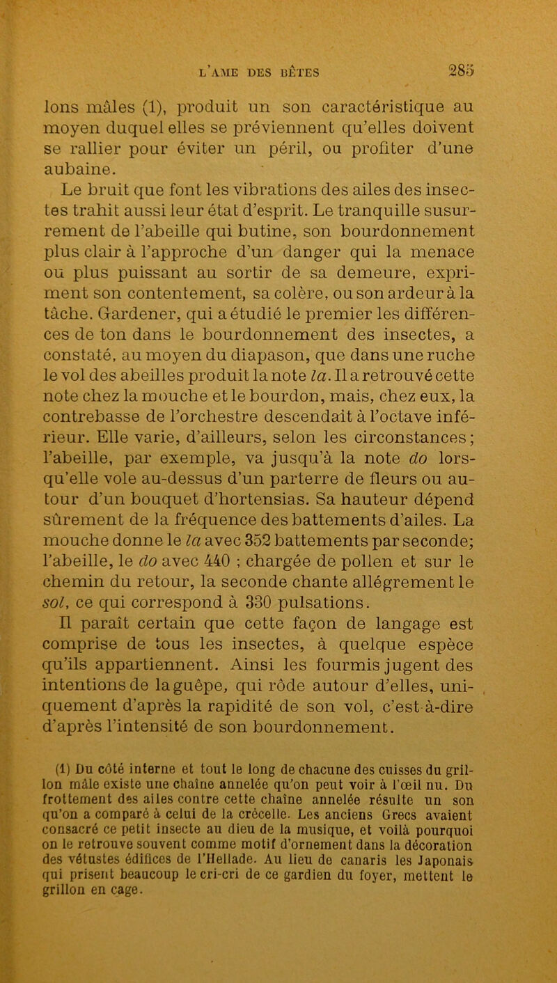 Ions mâles (1), produit un son caractéristique au moyen duquel elles se préviennent qu’elles doivent se rallier pour éviter un péril, ou profiter d’une aubaine. Le bruit que font les vibrations des ailes des insec- tes trahit aussi leur état d’esprit. Le tranquille susur- rement de l’abeille qui butine, son bourdonnement plus clair à l’approche d’un danger qui la menace ou plus puissant au sortir de sa demeure, expri- ment son contentement, sa colère, ou son ardeur à la tâche. Gardener, qui a étudié le premier les différen- ces de ton dans le bourdonnement des insectes, a constaté, au moyen du diapason, que dans une ruche le vol des abeilles produit la note ta. Il a retrouvé cette note chez la mouche et le bourdon, mais, chez eux, la contrebasse de l’orchestre descendait à l’octave infé- rieur. Elle varie, d’ailleurs, selon les circonstances; l’abeille, par exemple, va jusqu’à la note do lors- qu’elle vole au-dessus d’un parterre de fleurs ou au- tour d’un bouquet d’hortensias. Sa hauteur dépend sûrement de la fréquence des battements d’ailes. La mouche donne le la avec 352 battements par seconde; l’abeille, le do avec 440 ; chargée de pollen et sur le chemin du retour, la seconde chante allègrement le sol, ce qui correspond à 330 pulsations. Il paraît certain que cette façon de langage est comprise de tous les insectes, à quelque espèce qu’ils appartiennent. Ainsi les fourmis jugent des intentions de la guêpe, qui rôde autour d’elles, uni- quement d’après la rapidité de son vol, c’est à-dire d’après l’intensité de son bourdonnement. (1) Du côté interne et tout le long de chacune des cuisses du gril- lon mâle existe une chaîne annelée qu'on peut voir à l’œil nu. Du frottement des ailes contre cette chaîne annelée résulte un son qu’on a comparé à celui de la crécelle. Les anciens Grecs avaient consacré ce petit insecte au dieu de la musique, et voilà pourquoi on le retrouve souvent comme motif d’ornement dans la décoration des vétustes édifices de l’ilellade. Au lieu de canaris les Japonais qui prisent beaucoup le cri-cri de ce gardien du foyer, mettent le grillon en cage.