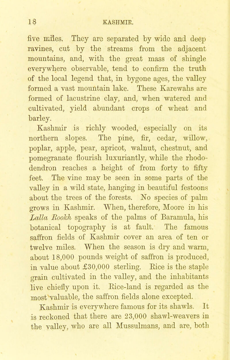 five miles. They are separated by wide and deep ravines, cut by the streams from the adjacent mountains, and, with the great mass of shingle everywhere observable, tend to confirm the truth of the local legend that, in bygone ages, the valley formed a vast mountain lake. These Karewahs are formed of lacustrine clay, and, when watered and cultivated, yield abundant crops of wheat and barley. Kashmir is richly wooded, especially on its northern slopes. The pine, fir, cedar, widow, poplar, apple, pear, apricot, walnut, chestnut, and pomegranate flourish luxuriantly, while the rhodo- dendron reaches a height of from forty to fifty feet. The vine may be seen in some parts of the vadey in a wild state, hanging in beautiful festoons about the trees of the forests. No species of palm grows in Kashmir. When, therefore, Moore in his Lalla Bookh speaks of the palms of Baramula, his botanical topography is at fault. The famous saffron fields of Kashmir cover an area of ten or twelve miles. When the season is dry and warm, about 18,000 pounds weight of saffron is produced, in value about £30,000 sterling. Eice is the staple grain cultivated in the vadey, and the inhabitants live chiefly upon it. Eice-land is regarded as the most valuable, the saffron fields alone excepted. Kashmir’ is everywhere famous for its shawls. It is reckoned that there are 23,000 shawl-weavers in the vadey, who are ad Mussulmans, and are, botli