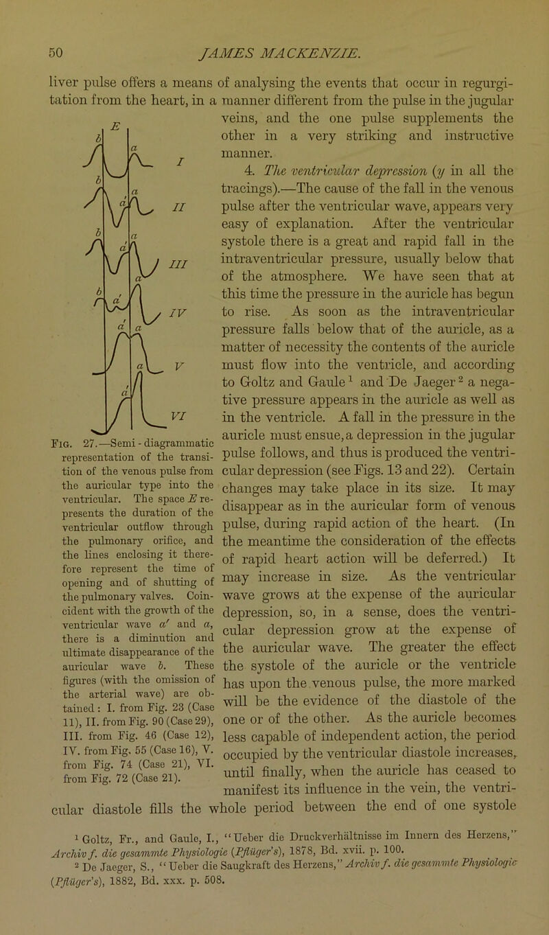 liver pulse offers a means of analysing the events that occur in regurgi- tation from the heart, in a manner different from the pulse in the jugular veins, and the one pulse supplements the other in a very striking and instructive manner. 4. The ventricular depi'cssion (y in all the tracings).—The cause of the fall in the venous pulse after the ventricular wave, appears very easy of explanation. After the ventricidar systole there is a great and rapid fall in the intraventricular pressure, usually below that of the atmosphere. We have seen that at this time the pressm’e in the auricle has begun to rise. As soon as the intraventricular pressure falls below that of the auricle, as a matter of necessity the contents of the auricle must flow into the ventricle, and according to Goltz and Gaule^ and De Jaeger ^ a nega- tive pressure appears in the auricle as well as in the ventricle. A fall in the pressure in the auricle must ensue, a depression in the jugular pulse follows, and thus is produced the ventri- tion of the venous pulse from cular depression (see Figs. 13 and 22). Certain the auricular type into the changes may take place in its size. It may d^jrofthe disappear as in the aaricular form of venous ventricular outflow through pulse, during rapid action of the heart. (In the pulmonary orifice, and the meantime the consideration of the effects the lines enclosing it there- rapid heart action will be deferred.) It fore represent the time of . . . » j. • i opening and of shutting of ^ay increase in size. As the ventrmular the pulmonary valves. Coin- wave grows at the expense of the aiiricular cident with the growth of the depression, SO, in a sense, does the ventri- ventncular wave a' and a, depression grow at the expense of there is a dimmution and . mi m A re a. ultimate disappearance of the the auricular wave. The greatei the enect auricular wave 1. These the systole of the auricle or the ventricle figures (with the omission of upon the .veiious pulse, the more marked the arterial wave) ^re oh- evidence of the diastole of the tamed: I. from Fig. 23 (Case ■ , , 11), II. from Fig. 90 (Case 29), one or of the other. As the auricle becomes III. from Fig. 46 (Case 12), iggg capable of independent action, the period IV. from Fig, 5^^(Case 16),^V. Qccupied by the ventricular diastole increases, until finally, when the auricle has ceased to manifest its influence in the vein, the ventri- cular diastole fills the whole period between the end of one systole Fig. 27. —S emi - diagrammatic representation of the transi from Fig. 74 (Case 21), VI. from Fig. 72 (Case 21). 1 Goltz, Fr., and Gaule, I., “Ueber die Druekverhiiltnisse im Iniiern des Herzens, Archivf. die gesammte Physiologie {PflUger's), 1878, Bd. xvii. 100, 2 De Jaeger, S., “ Ueber die Saugkraft des Herzens,” Archivf. diegesamvife Physiologic {PJluger’s), 1882, Bd. xxx. p. 508.