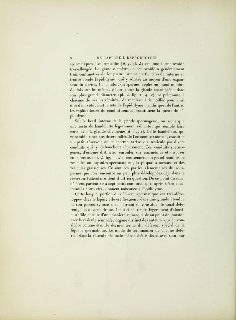 spermatiques. Les testicules ( d, f, pl. 2 ) ont une forme ovoïde très-allongée. Le grand diamètre de cet ovoïde a généralement trois centimètres de longueur; sur sa partie latérale interne se trouve accolé l’épididyme, qui y adhère au moyen d’une expan- sion du dartos. Ce conduit du sperme, replié un grand nombre de fois sur lui-même, déborde sur la glande spermagène dans son plus grand diamètre (pl. 2, fig. î , g, e), se pelotonne à chacune de ses extrémités, de manière à la coiffer pour ainsi dire d’un côté, c’est la tête de l’épididyme, tandis que, de l’autre, les replis adossés du conduit séminal constituent la queue de l’é- pididyme. Sur le bord interne de la glande spermagène, on remarque une sorte de bandelette légèrement saillante, qui semble faire corps avec la glande elle-même (d, fig. î). Cette bandelette, qui ressemble assez aux divers raflés de l’économie animale, constitue un petit réservoir où le sperme arrive du testicule par divers conduits qui y débouchent séparément. Ces conduits sperma- gènes, d’origine distincte, enroulés sur eux-mêmes et disposés en faisceaux (pl. 2, fig. î , d'), contiennent un grand nombre de vésicules ou capsules spermatiques, la plupart à noyaux, et des vésicules graisseuses. Ce sont ces parties élémentaires du zoos- perme que l’on rencontre un peu plus développées déjà dans le réservoir testicidaire dont il est ici question. De ce point du canal déférent partent six à sept petits conduits, qui, après s’être anas- tomosés entre eux, donnent naissance à l’épididyme. Cette longue portion du déférent spermatique est très-déve- loppée chez le lapin ; elle est flexueuse dans une grande étendue de son parcours, mais un peu avant de constituer le canal défé- rent, elle devient droite. Celui-ci se renfle légèrement d’abord, et s’effile ensuite d’une manière remarquable au point de jonction avec la vésicule séminale, organe distinct des auteurs, que je con- sidère comme étant le dernier terme du déférent spécial de la liqueur spermatique. Le mode de terminaison de chaque défé- rent dans la vésicule séminale mérite d’être décrit avec soin, car