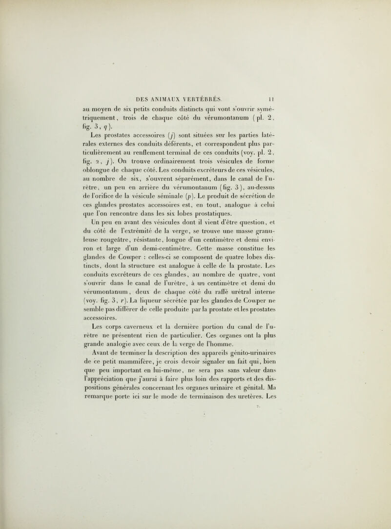 au moyen de six petits conduits distincts qui vont s’ouvrir symé- triquement , trois de chaque côté du vérumontanum ( pl. 2, fig. 3, q). Les prostates accessoires (j) sont situées sur les parties laté- rales externes des conduits déférents, et correspondent plus par- ticulièrement au renflement terminal de ces conduits (voy. pl. 2, fig. 2, j). On trouve ordinairement trois vésicules de forme oblongue de chaque côté. Les conduits excréteurs de ces vésicules, au nombre de six, s’ouvrent séparément, dans le canal de l’u- rètre, un peu en arrière du vérumontanum (fig. 3), au-dessus de l’orifice de la vésicule séminale (p). Le produit de sécrétion de ces glandes prostates accessoires est, en tout, analogue à celui que I on rencontre dans les six lobes prostatiques. Ln peu en avant des vésicules dont il vient d’être question, et du côté de l’extrémité de la verge, se trouve une masse granu- leuse rougeâtre, résistante, longue d’un centimètre et demi envi- ron et large d’un demi-centimètre. Cette masse constitue les glandes de Covvper : celles-ci se composent de quatre lobes dis- tincts, dont la structure est analogue à celle de la prostate. Les conduits excréteurs de ces glandes, au nombre de quatre, vont s’ouvrir dans le canal de l’urètre, à un centimètre et demi du vérumontanum , deux de chaque côté du ralfé urétral interne (voy. fig. 3, r). La liqueur sécrétée parles glandes de Covvper ne semble pas différer de celle produite parla prostate et les prostates accessoires. Les corps caverneux et la dernière portion du canal de l’u- rètre ne présentent rien de particulier. Ces organes ont la plus grande analogie avec ceux de la verge de l’homme. Avant de terminer la description des appareils génito-urinaires de ce petit mammifère, je crois devoir signaler un fait qui, bien que peu important en lui-même, ne sera pas sans valeur dans l’appréciation que j’aurai à faire plus loin des rapports et des dis- positions générales concernant les organes urinaire et génital. Ma remarque porte ici sur le mode de terminaison des uretères. Les