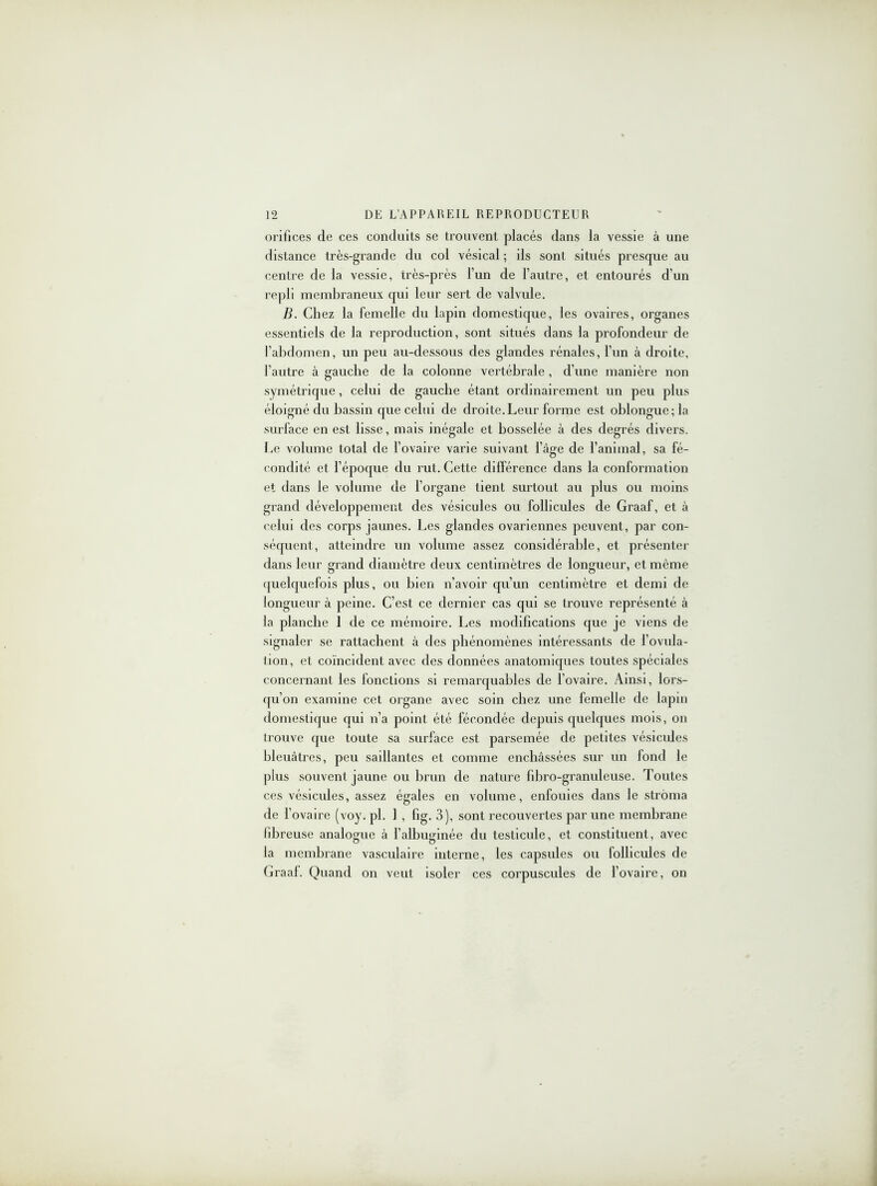 orifices de ces conduits se trouvent placés dans la vessie à une distance très-grande du col vésical ; ils sont situés presque au centre de la vessie, très-près l’un de l’autre, et entourés d’un repli membraneux qui leur sert de valvule. B. Chez la femelle du lapin domestique, les ovaires, organes essentiels de la reproduction, sont situés dans la profondeur de l’abdomen, un peu au-dessous des glandes rénales, l’un à droite, l’autre à gauche de la colonne vertébrale , d’une manière non symétrique, celui de gauche étant ordinairement un peu plus éloigné du bassin que celui de droite. Leur forme est oblongue;la surface en est lisse, mais inégale et bosselée à des degrés divers. Le volume total de l’ovaire varie suivant i’àge de l’animal, sa fé- condité et l’époque du rut. Cette différence dans la conformation et dans le volume de l’organe tient surtout au plus ou moins grand développement des vésicules ou follicules de Graaf, et à celui des corps jaunes. Les glandes ovariennes peuvent, par con- séquent, atteindre un volume assez considérable, et présenter dans leur grand diamètre deux centimètres de longueur, et même quelquefois plus, ou bien n’avoir qu’un centimètre et demi de longueur à peine. C’est ce dernier cas qui se trouve représenté à la planche 1 de ce mémoire. Les modifications que je viens de signaler se rattachent à des phénomènes intéressants de l’ovula- tion, et coïncident avec des données anatomiques toutes spéciales concernant les fonctions si remarquables de l’ovaire. Ainsi, lors- qu’on examine cet organe avec soin chez une femelle de lapin domestique qui n’a point été fécondée depuis quelques mois, on trouve que toute sa surface est parsemée de petites vésicules bleuâtres, peu saillantes et comme enchâssées sur un fond le plus souvent jaune ou brun de nature fibro-granuleuse. Toutes ces vésicules, assez égales en volume, enfouies dans le stroma de l’ovaire (voy. pl. 1 , fig. 3), sont recouvertes par une membrane fibreuse analogue à l’albuginée du testicule, et constituent, avec la membrane vasculaire interne, les capsules ou follicules de Graaf. Quand on veut isoler ces corpuscules de l’ovaire, on