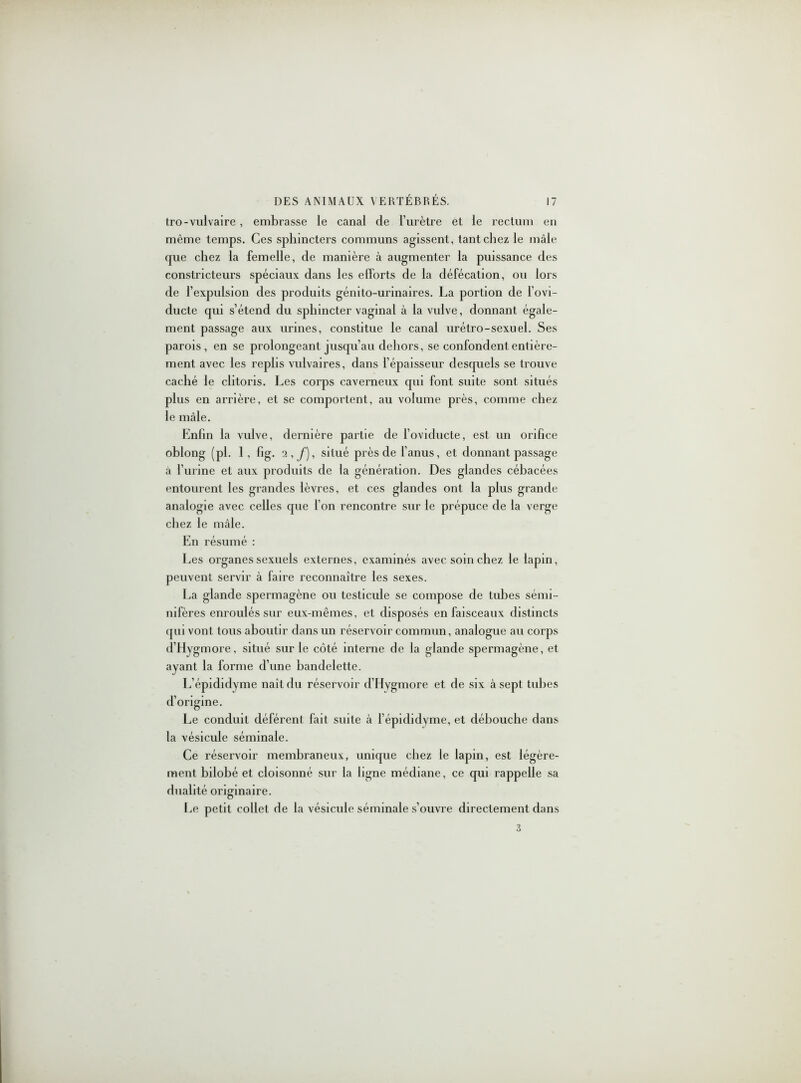 tro-vulvaire, embrasse le canal de l’urètre et le rectum en même temps. Ces sphincters communs agissent, tant chez le mâle que chez la femelle, de manière à augmenter la puissance des constricteurs spéciaux dans les efforts de la défécation, ou lors de l’expulsion des produits génito-urinaires. La portion de l’ovi- ducte qui s’étend du sphincter vaginal à la vulve, donnant égale- ment passage aux urines, constitue le canal urétro-sexuel. Ses parois, en se prolongeant jusqu’au dehors, se confondent entière- ment avec les replis vulvaires, dans l’épaisseur desquels se trouve caché le clitoris. Les corps caverneux qui font suite sont situés plus en arrière, et se comportent, au volume près, comme chez le mâle. Enfin la vulve, dernière partie de l’oviducte, est un orifice oblong (pl. 1, fig. 2,/), situé près de l’anus, et donnant passage à l’urine et aux produits de la génération. Des glandes cébacées entourent les grandes lèvres, et ces glandes ont la plus grande analogie avec celles que l’on rencontre sur le prépuce de la verge chez le mâle. En résumé : Les organes sexuels externes, examinés avec soin chez le lapin, peuvent servir à faire reconnaître les sexes. La glande spermagène ou testicule se compose de tubes sémi- nifères enroulés sur eux-mêmes, et disposés en faisceaux distincts qui vont tous aboutir dans un réservoir commun, analogue au corps d’Hygmore, situé sur le côté interne de la glande spermagène, et ayant la forme d’une bandelette. L’épididyme naît du réservoir d’Hygmore et de six à sept tubes d’origine. Le conduit déférent fait suite à i’épididvme, et débouche dans la vésicule séminale. Ce réservoir membraneux, unique chez le lapin, est légère- ment bilobé et cloisonné sur la ligne médiane, ce qui rappelle sa dualité originaire. Le petit collet de la vésicule séminale s’ouvre directement dans 3
