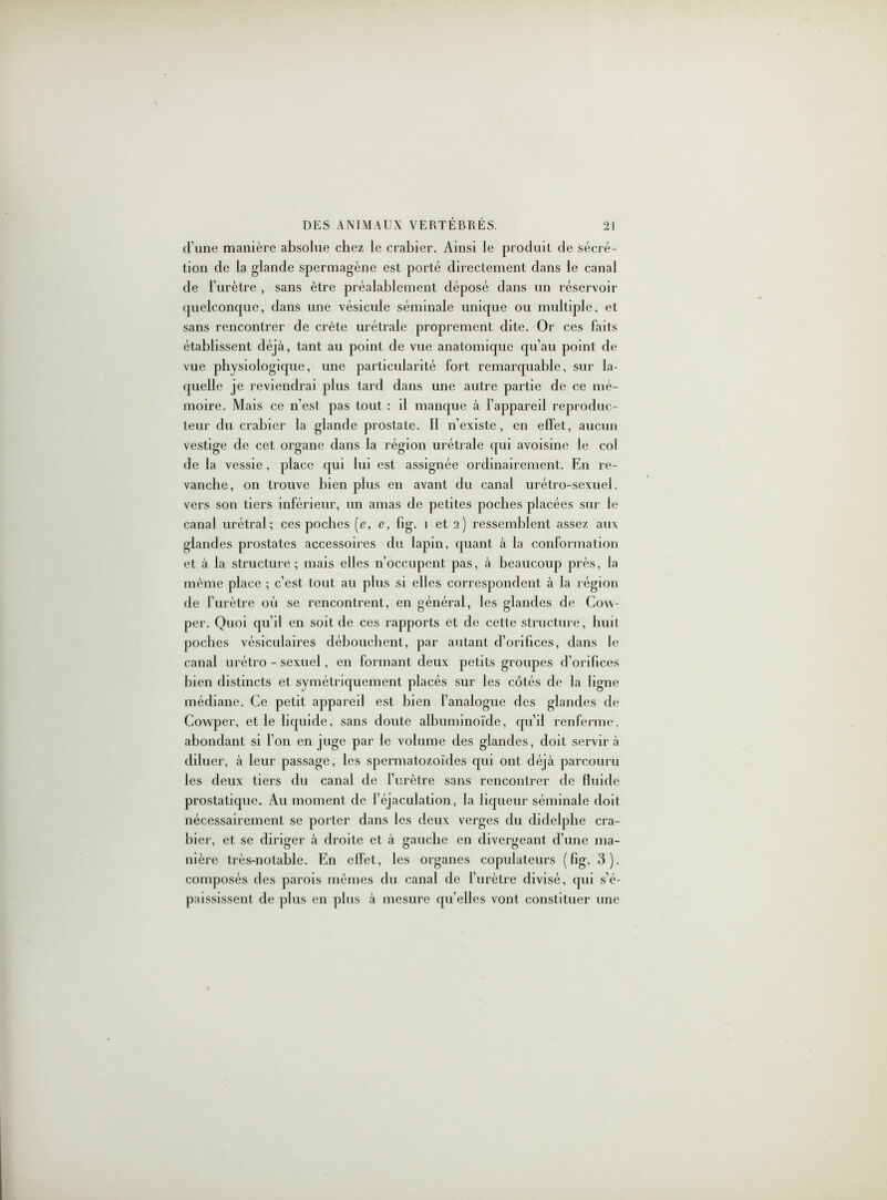 cl’une manière absolue chez le crabier. Ainsi le produit de sécré- tion de la glande spermagène est porté directement dans le canal de l’urètre , sans être préalablement déposé dans un réservoir quelconque, dans une vésicule séminale unique ou multiple, et sans rencontrer de crête urétrale proprement dite. Or ces faits établissent déjà, tant au point de vue anatomique qu’au point de vue physiologique, une particularité fort remarquable, sur la- quelle je reviendrai plus tard dans une autre partie de ce mé- moire. Mais ce n’est pas tout : il manque à l’appareil reproduc- teur du crabier la glande prostate. Il n’existe, en effet, aucun vestige de cet organe dans la région urétrale qui avoisine le col de la vessie, place qui lui est assignée ordinairement. En re- vanche, on trouve bien plus en avant du canal urétro-sexuel, vers son tiers inférieur, un amas de petites poches placées sur le canal urétral; ces poches (e, e, fig. 1 et 2) ressemblent assez aux glandes prostates accessoires du lapin, quant à la conformation et à la structure; mais elles n’occupent pas, à beaucoup près, la même place ; c’est tout au plus si elles correspondent à la région de l’urètre où se rencontrent, en général, les glandes de Cow- per. Quoi qu’il en soit de ces rapports et de cette structure, huit poches vésiculaires débouchent, par autant d’orifices, dans le canal urétro - sexuel, en formant deux petits groupes d’orifices bien distincts et symétriquement placés sur les côtés de la ligne médiane. Ce petit appareil est bien l’analogue des glandes de Covvper, et le liquide, sans doute albuminoïde, qu’il renferme, abondant si l’on en juge par le volume des glandes, doit servira diluer, à leur passage, les spermatozoïdes qui ont déjà parcouru les deux tiers du canal de l’urètre sans rencontrer de fluide prostatique. Au moment de l’éjaculation, la liqueur séminale doit nécessairement se porter dans les deux verges du didelphe cra- bier, et se diriger à droite et à gauche en divergeant d’une ma- nière très-notable. En effet, les organes copulateurs (fig. 3), composés des parois mêmes du canal de l’urètre divisé, qui s’é- paississent de plus en plus à mesure qu’elles vont constituer une