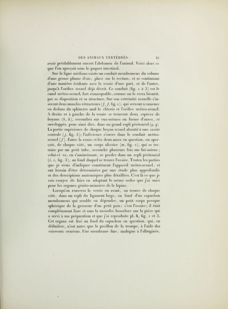 avoir préalablement ouvert l’abdomen de l’animal. Voici alors ce que l’on aperçoit sous le paquet intestinal. Sur la ligne médiane existe un conduit membraneux du volume d’une grosse plume d’oie, placé sur le rectum, et se continuant d’une manière évidente avec la vessie d’une part, et de l’autre, jusqu’à l’orifice sexuel déjà décrit. Ce conduit (fig. i à 3) est le canal urétro-sexuel, fort remarquable, comme on le verra bientôt, par sa disposition et sa structure. Sur son extrémité sexuelle s’in- sèrent deux muscles rétracteurs [f, f, fig. 1 ), qui servent à ramener en dedans du sphincter anal le clitoris et l’orifice urétro-sexuel. À droite et à gauche de la vessie se trouvent deux espèces de boyaux [h, h), recourbés sur eux-mêmes en forme d’anses, et enveloppés, pour ainsi dire, dans un grand repli péritonéal (g, g) La partie supérieure de chaque boyau sexuel aboutit à une cavité centrale [j, fig. 3); l’inférieure s’ouvre dans le conduit urétro- sexuel (/). Entre la vessie et les deux anses en question, on aper- çoit, de chaque côté, un corps olivaire [m, fig. 2), qui se ter- mine par un petit tube, recourbé plusieurs fois sur lui-même ; celui-ci va, en s’amincissant, se perdre dans un repli péritonéal (i, i, fig. 3), au fond duquel se trouve l’ovaire. Toutes les parties que je viens d’indiquer constituent l’appareil urétro-sexuel, et ont besoin d’être déterminées par une étude plus approfondie et des descriptions anatomiques plus détaillées. C’est là ce que je vais essayer de faire en adoptant le même ordre que j’ai suivi pour les organes génito-urinaires de la lapine. Lorsqu’on renverse la vessie en avant, on trouve de chaque côté, dans un repli du ligament large, au fond d’un capuchon membraneux qui semble en dépendre, un petit corps presque sphérique de la grosseur d’un petit pois: c’est l’ovaire ; d était complètement lisse et sans la moindre bosselure sur la pièce qui a servi à ma préparation et que j’ai reproduite pl. 4, fig. 1 et 3. Cet organe est fixé au fond du capuchon en question, qui, en définitive, n’est autre que le pavillon de la trompe, à l’aide des vaisseaux ovariens. Une membrane fine, analogue à l’albuginée,
