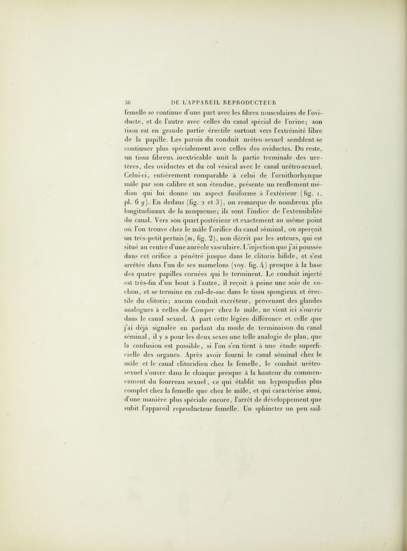 femelle se continue d’une part avec les libres musculaires de l'ovi- ducte, et de l’autre avec celles du canal spécial de l’urine; son (issu est en grande partie érectile surtout vers l’extrémité libre de la papille. Les parois du conduit urétro-sexuel semblent se continuer plus spécialement avec celles des oviductes. Du reste, un tissu fibreux inextricable unit la partie terminale des ure- tères, des oviductes et du col vésical avec le canal urétro-sexuel. Celui-ci, entièrement comparable à celui de l’ornithorhynque mâle par son calibre et son étendue, présente un renflement mé- dian qui lui donne un aspect fusiforme à l’extérieur ( fig. i, pl. 6 (/). En dedans (fig. 2 et 3), 011 remarque de nombreux plis longitudinaux de la muqueuse; ils sont l’indice de l’extensibilité du canal. Vers son quart postérieur et exactement au même point où l’on trouve chez le mâle l’orifice du canal séminal, on aperçoit un très-petitpertuis (m, fig. 2), non décrit par les auteurs, qui est situé au centre d’une auréole vasculaire. L’injection que j’ai poussée dans cet orifice a pénétré jusque dans le clitoris bifide, et s’est arrêtée dans l’un de ses mamelons (voy. fig. 4) presque à la base des quatre papilles cornées qui le terminent. Le conduit injecté est très-fin d’un bout à l’autre, il reçoit à peine une soie de co- chon, et se termine en cul-de-sac dans le tissu spongieux et érec- tile du clitoris; aucun conduit excréteur, provenant des glandes analogues à celles de Cowper cliez le mâle, ne vient ici s’ouvrir dans le canal sexuel. A part cette légère différence et celle que l’ai déjà signalée en parlant du mode de terminaison du canal séminal, il y a pour les deux sexes une telle analogie de plan, que la confusion est possible, si l’on s’en tient à une élude superfi- cielle des organes. Après avoir fourni le canal séminal chez le mâle elle canal clitoridien chez la femelle, le conduit urétro- sexuel s’ouvre dans le cloaque presque à la hauteur du commen- cement du fourreau sexuel, ce qui établit un bvpospadias plus complet chez la femelle que chez le mâle, et qui caractérise ainsi, d’une manière plus spéciale encore, l’arrêt de développement que subit l’appareil reproducteur femelle. Un sphincter un peu sail-