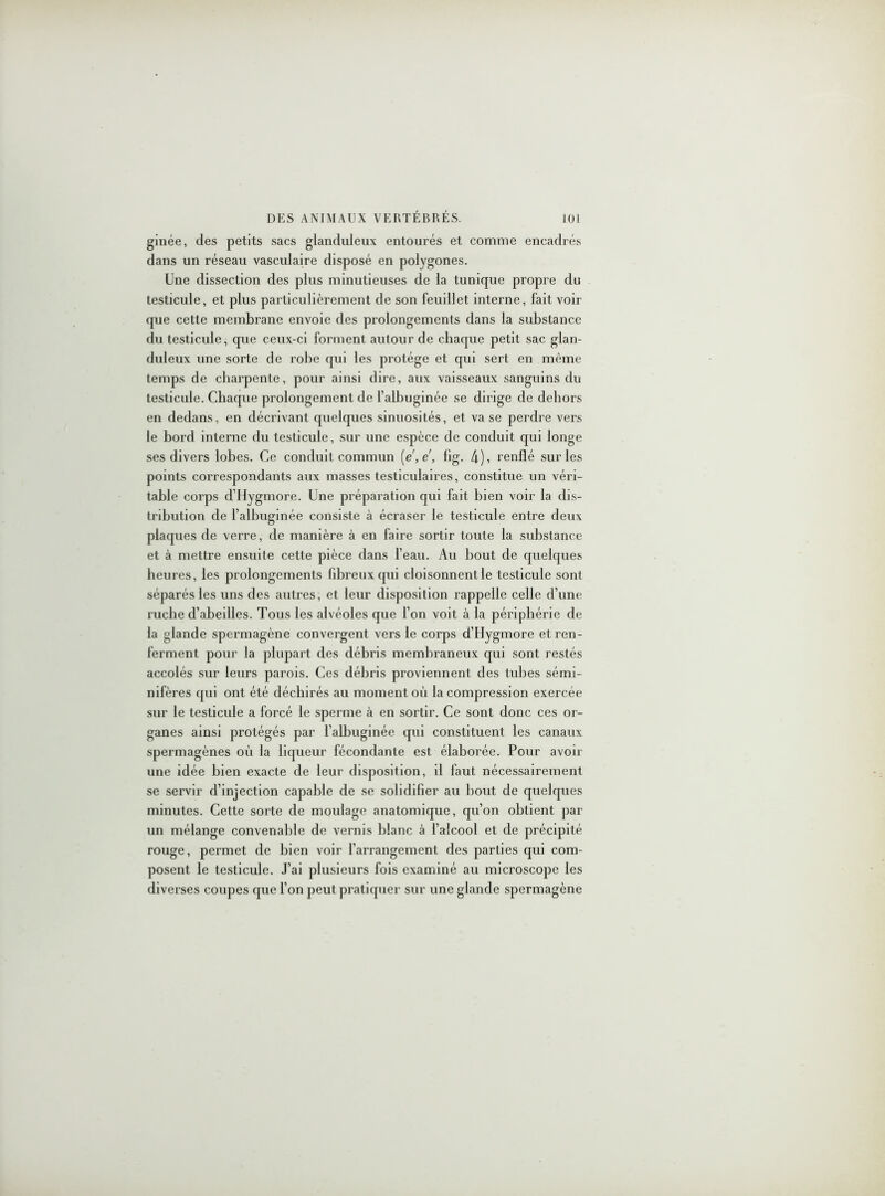 ginée, des petits sacs glanduleux entourés et comme encadrés dans un réseau vasculaire disposé en polygones. Une dissection des plus minutieuses de la tunique propre du testicule, et plus particulièrement de son feuillet interne, fait voir que cette membrane envoie des prolongements dans la substance du testicule, que ceux-ci forment autour de chaque petit sac glan- duleux une sorte de robe qui les protège et qui sert en même temps de charpente, pour ainsi dire, aux vaisseaux sanguins du testicule. Chaque prolongement de l’alhuginée se dirige de dehors en dedans, en décrivant quelques sinuosités, et vase perdre vers le bord interne du testicule, sur une espèce de conduit qui longe ses divers lobes. Ce conduit commun [e, e, fig. 4), renflé sur les points correspondants aux masses testiculaires, constitue un véri- table corps d’Iïygmore. Une préparation qui fait bien voir la dis- tribution de l’albuginée consiste à écraser le testicule entre deux plaques de verre, de manière à en faire sortir toute la substance et à mettre ensuite cette pièce dans l’eau. Au bout de quelques heures, les prolongements fibreux qui cloisonnent le testicule sont séparés les uns des autres, et leur disposition rappelle celle d’une ruche d’abeilles. Tous les alvéoles que l’on voit à la périphérie de la glande spermagène convergent vers le corps d’Hygmore et ren- ferment pour la plupart des débris membraneux qui sont restés accolés sur leurs parois. Ces débris proviennent des tubes sémi- nifères qui ont été déchirés au moment où la compression exercée sur le testicule a forcé le sperme à en sortir. Ce sont donc ces or- ganes ainsi protégés par l’albuginée qui constituent les canaux spermagènes où la liqueur fécondante est élaborée. Pour avoir une idée bien exacte de leur disposition, il faut nécessairement se servir d’injection capable de se solidifier au bout de quelques minutes. Cette sorte de moulage anatomique, qu’on obtient par un mélange convenable de vernis blanc à l’alcool et de précipité rouge, permet de bien voir l’arrangement des parties qui com- posent le testicule. J’ai plusieurs fois examiné au microscope les diverses coupes que l’on peut pratiquer sur une glande spermagène