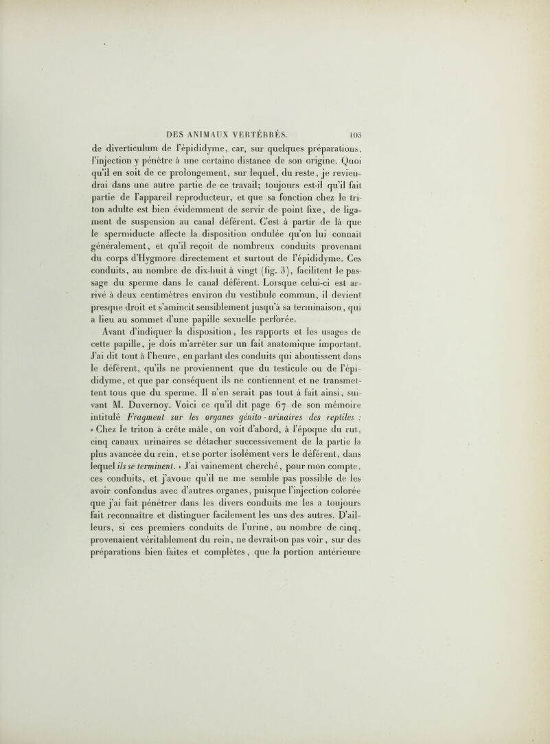 de diverticulum de l’épididyme, car, sur quelques préparations, l’injection y pénètre à une certaine distance de son origine. Quoi qu’il en soit de ce prolongement, sur lequel, du reste, je revien- drai dans une autre partie de ce travail; toujours est-il qu’il fait partie de l’appareil reproducteur, et que sa fonction chez le tri- ton adulte est bien évidemment de servir de point fixe, de liga- ment de suspension au canal déférent. C’est à partir de là que le spermiducte affecte la disposition ondulée qu’on lui connaît généralement, et qu’il reçoit de nombreux conduits provenant du corps d’Hygmore directement et surtout de l’épididyme. Ces conduits, au nombre de dix-huit, à vingt (fig. 3), facilitent le pas- sage du sperme dans le canal déférent. Lorsque celui-ci est ar- rivé à deux centimètres environ du vestibule commun, il devient presque droit et s’amincit sensiblement jusqu’à sa terminaison, qui a lieu au sommet d’une papille sexuelle perforée. Avant d’indiquer la disposition, les rapports et les usages de cette papille, je dois m’arrêter sur un fait anatomique important. J’ai dit tout à l’heure, en parlant des conduits qui aboutissent dans le déférent, qu’ils ne proviennent que du testicule ou de l’épi- didyme, et que par conséquent ils ne contiennent et ne transmet- tent tous que du sperme. 11 n’en serait pas tout à fait ainsi, sui- vant M. Duvernoy. Voici ce qu’il dit page 67 de son mémoire intitulé Fragment sur les organes génito - urinaires des reptiles : « Chez le triton à crête mâle, on voit d’abord, à l’époque du rut, cinq canaux urinaires se détacher successivement de la partie la plus avancée du rein, et se porter isolément vers le déférent, dans lequel ils se terminent. » J’ai vainement cherché, pour mon compte, ces conduits, et j’avoue qu’il ne me semble pas possible de les avoir confondus avec d’autres organes, puisque l’injection colorée que j’ai fait pénétrer dans les divers conduits me les a toujours fait reconnaître et distinguer facilement les uns des autres. D’ail- leurs, si ces premiers conduits de l’urine, au nombre de cinq, provenaient véritablement du rein, ne devrait-on pas voir , sur des préparations bien faites et complètes, que la portion antérieure