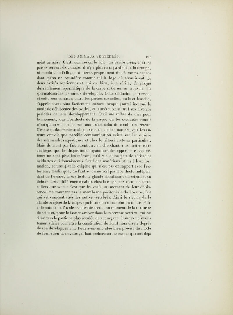 méat urinaire. C’est, comme on le voit, un ovaire creux dont les parois servent d’oviducte; il n’y a plus ici ni pavillon de la trompe, ni conduit de Fallope, ni utérus proprement dit, à moins cepen- dant qu’on ne considère comme tel la loge où aboutissent les deux cavités ovariennes et qui est bien, à la vérité, l’analogue du renflement spermatique de la carpe mâle où se trouvent les spermatozoïdes les mieux développés. Cette déduction, du reste, et cette comparaison entre les parties sexuelles, mâle et femelle, s’apprécieront plus facilement encore lorsque j’aurai indiqué le mode de déhiscence des ovules, et leur état constitutif aux diverses périodes de leur développement. Qu’il me suffise de dire pour le moment, que l’oviducte de la carpe, ou les oviductes réunis n’ont qu’un seul orifice commun : c’est celui du conduit excréteur. C’est sans doute par analogie avec cet orifice naturel, que les au- teurs ont dit que pareille communication existe sur les ovaires des salamandres aquatiques et chez le triton à crête en particulier. Mais ils n’ont pas fait attention, en cherchant à admettre cette analogie, que les dispositions organiques des appareils reproduc- teurs ne sont plus les mêmes; qu’il y a d’une part de véritables oviductes qui fournissent à l’œuf des matériaux utiles à leur for mation, et ime glande ovigène qui n’est pas en rapport avec l’ex- térieur; tandis que, de l’autre, on ne voit pas d’oviducte indépen- dant de l’ovaire, la cavité de la glande aboutissant directement au dehors. Cette différence conduit, chez la carpe, aux résultats parti- culiers que voici : c’est que les œufs, au moment de leur déhis- cence, ne rompent pas la membrane péritonéale de l’ovaire, fait qui est constant chez les autres vertébrés. Ainsi le stroma de la glande ovigène de la carpe, qui forme un calice plus ou moins pédi- culé autour de l’ovule, se déchire seul, au moment de la maturité de celui-ci, pour le laisser arriver dans le réservoir ovarien, qui est situé vers la partie la plus reculée de cet organe. Il me reste main- tenant à faire connaître la constitution de l’œuf, aux divers degrés de son développement. Pour avoir une idée bien précise du mode de formation des ovules, il faut rechercher les carpes qui ont déjà