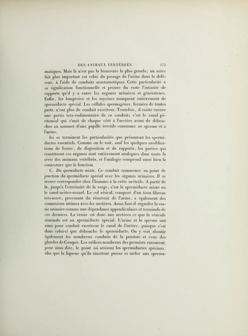 matiques. Mais là n’est pas la bizarrerie la plus grande; un autre fait plus important est celui du passage de l’urine dans le défé- rent, à l’aide de conduits anastomotiques. Cette particularité a sa signification fonctionnelle et prouve du reste l’intimité de rapports qu’il y a entre les organes urinaires et générateurs. Enfin, les lamproies et les myxines manquent entièrement de spermiducte spécial. Les cellules spermagènes, fermées de toutes parts, n’ont plus de conduit excréteur. Toutefois, il existe encore une partie très-rudimentaire de ce conduit; c’est le canal pé- ritonéal qui s’unit de chaque côté à l’uretère avant de débou- cher au sommet d’une papille érectile commune au sperme et à l’urine. Ici se terminent les particularités que présentent les spermi- ductes essentiels. Comme on le voit, sauf les quelques modifica- tions de forme, de disposition et de rapports, les parties qui constituent ces organes sont entièrement analogues dans toute la série des animaux vertébrés, et l’analogie comprend aussi bien la contexture que la fonction. C. Du spermiducte mixte. Ce conduit commence au point de jonction du spermiducte spécial avec les organes urinaires. Il se trouve correspondre chez l’homme à la crête urétrale. A partir de là, jusqu’à l’extrémité de la verge, c’est le spermiducte mixte ou le canal urétro-sexuel. Le col vésical, composé d’un tissu fibreux très-serré, provenant du réservoir de l’urine, a également des connexions intimes avec les uretères. Aussi faut-il regarder la ves- sie urinaire comme une dépendance appendiculaire et terminale de ces derniers. La vessie est donc aux uretères ce que la vésicule séminale est au spermiducte spécial. L’urine et le sperme ont ainsi pour conduit excréteur le canal de l’urètre, puisque c’est dans celui-ci que débouche le spermiducte. On y voit aboutir également les nombreux conduits de la prostate et ceux des glandes de Cowper. Les orifices nombreux des premiers entourent, pour ainsi dire, le point où arrivent les spermiductes spéciaux, afin que la liqueur qu’ils émettent puisse se mêler aux sperma-