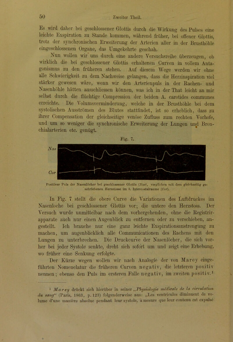 Es wird dsiliGr boi g'6Scliloss6H6r Glottis durcb dio W^irkuug dos Pulsos eine leichte Exspiration zu Stande kommen, während früher, hei offener Glottis, trotz der sjmchronischen Erweiterung der Arterien aller in der Brusthöhle eiugeschlosseueu Organe, das Umgekehrte geschah. Nun wollen wir uns durch eine andere Versuchsreihe überzeugen, ob wirkhch die bei geschlossener Glottis erhaltenen Curven in vollem Anta- gonismus zu den früheren stehen. Auf diesem Wege werden wir ohne alle Schwierigkeit zu dem Nachweise gelangen, dass die Herzinspiration viel stärker gewesen wäre, wenn wir den Arterienpuls in der Rachen- und Nasenhöhle hätten ausschhessen können, was ich in der That leicht an mir seihst durch die flüchtige Compressiou der beiden A. carotides communes erreichte. Die Volumsverminderung, welche in der Brusthöhle bei dem systolischen Ausströmen des Blutes stattündet, ist so erhebhch, dass zu ihrer Compeusation der gleichseitige venöse Zufluss zum rechten Vorhofe, und um so weniger die synchronische Erweiterung der Lungen und Bron- chialarterien etc. genügt. Fig. 7, Nas Cor Positiver Puls der Nasenlöcher bei geschlossener Glottis {Nas), verglichen mit dem gleichzeitig ge- schriebenen Herzstosse im 6. Intercostalraume (Cor). In Fig. 7 stellt die obere Curve die Variationen des Luftdruckes im Nasenloche bei geschlossener Glottis vor; die untere den Herzstoss. Der Versuch wurde unmittelbar nach dem vorhergehenden, ohne die Registrir- apparate auch nur einen Augenbhck zu entfernen oder zu verschieben, an- gestellt. Ich brauche nur eine ganz leichte Exspirationsanstrengung zu machen, um augenbhcklich aUe Communicationen des Rachens mit den Lungen zu unterbrechen. Die Druckcurve der Nasenlöcher, die sich vor- her bei jeder Systole senkte, dreht sich sofort um und zeigt eine Erhebung, wo früher eine Senkung erfolgte. Der Kürze wegen woUen wir nach Analogie der von Marey einge- führten Nomenclatur die früheren Curven negativ, die letzteren positiv nennen; ebenso den Puls im ersteren Falle negativ, im zweiten positiv'.^ 1 Marey drückt sich liierüber in seiner medicale de la circulation du sang“ (Paris, 1863, p. 123) folgenderweise aus: „Les ventricules diminuent de vo- lume d'une maniere absolue pendant leur systole, ä luesure que leur contenu est expuJse