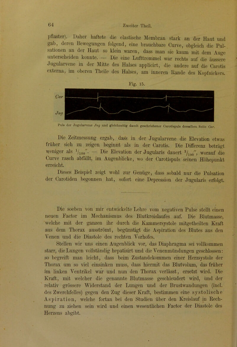 l)llaster). Daher haftete die elastische Membran stark an der Haut und gab, deren Bewegungen folgend, eine brauchbare Curve, obgleich die Pul- sationen an der Haut so klein waren, dass man sie kaum mit dem Auge unterscheiden konnte. — Die eine Lufttrommel war rechts auf die äussere Jugularveiie in der Mitte des Halses applicirt, die andere auf die Carotis externa, im oberen Theile des Halses, am inneren Rande des Koj)fnickers. Fig. 15. Car Ju(j Puls der .Tiigularveue Jxtg und gleichzeitig damit geschriebener Carotispuls derselben Seite Car, Die Zeitmessung ergab, dass in der Jugularvene die Elevation etwas früher sich zu zeigen beginnt als in der Carotis. Die Differenz beträgt \Yeniger als Vioo- — Die Elevation der Jugularis dauert worauf die Curve rasch abfällt, im Augenblicke, wo der Carotispuls seinen Höhepunkt erreicht. Dieses Beispiel zeigt wohl zur Genüge, dass sobald nur die Pulsation der Carotiden begonnen hat, sofort eine Depression der Jugularis erfolgt. Die soeben von mir entwickelte Lehre vom negativen Pulse stellt einen neuen Factor im Mechanismus des Blutkreislaufes auf. Die Blutmasse, welche mit der ganzen ihr durch die Kammersystole mitgetheüten Kraft aus dem Thorax ausströmt, begünstigt die Aspiration des Blutes aus den Venen und die Diastole des rechten Yorhofes. Stellen wir uns einen Augenbhck vor, das Diaphragma sei vollkommen starr, die Lungen vollständig hepatisirt und die Veneumündungen geschlossen: so begTeift man leicht, dass beim Zustandekommen einer Herzsystole der Thorax um so viel einsinken muss, dass hiermit das Blutvolum, das früher im Unken Ventrikel war und nun den Thorax verlässt, ersetzt wird. Die Kraft, mit welcher die genannte Blutmasse geschleudert wd, imd der relativ grössere Widerstand der Lungen und der Brustwandungen (incl. des Zwerchfelles) gegen den Zug dieser Kraft, bestimmen eine systolische Aspiration, welche fortan bei den Studien über den Kreislauf in Rech- nung zu ziehen sein Avird und einen Avesentlichen Factor der Diastole des Herzens abgibt.