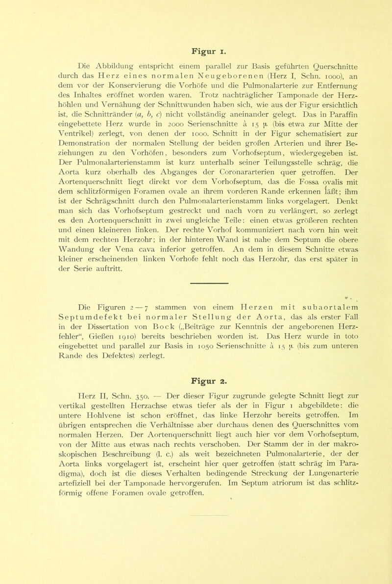 Die Abbildung entspricht einem parallel zur Basis geführten Querschnitte durch das Herz eines normalen Neugeborenen (Herz I, Schn. looo), an dem vor der Konservierung die Vorhöfe und die Pulmonalarterie zur Entfernung des Inhaltes eröffnet worden waren. Trotz nachträglicher Tamponade der Herz- höhlen und Vernähung der Schnittwunden haben sich, wie aus der Figur ersichtlich ist, die Schnittränder (a, b, c) nicht vollständig aneinander gelegt. Das in Paraffin eingebettete Herz wurde in 2000 Serien schnitte ä 15 [j. (bis etwa zur Mitte der Ventrikel) zerlegt, von denen der 1000. Schnitt in der Figur schematisiert zur Demonstration der normalen Stellung der beiden großen Arterien und ihrer Be- ziehungen zu den Vorhöfen, besonders zum Vorhofseptum, wiedergegeben ist. Der Pulmonalarterienstamm ist kurz unterhalb seiner Teilungsstelle schräg, die Aorta kurz oberhalb des Abganges der Coronararterien quer getroffen. Der Aortenquerschnitt liegt direkt vor dem Vorhofseptum, das die Fossa ovalis mit dem schlitzförmigen Foramen ovale an ihrem vorderen Rande erkennen läßt; ihm ist der Schrägschnitt durch den Pulmonalarterienstamm links vorgelagert. Denkt man sich das Vorhofseptum gestreckt und nach vorn zu verlängert, so zerlegt es den Aortenquerschnitt in zwei ungleiche Teile; einen etwas größeren rechten und einen kleineren linken. Der rechte Vorhof kommuniziert nach vorn hin weit mit dem rechten Herzohr; in der hinteren Wand ist nahe dem Septum die obere Wandung der Vena cava inferior getroffen. An dem in diesem Schnitte etwas kleiner erscheinenden linken Vorhofe fehlt noch das Herzohr, das erst später in der Serie auftritt. Die Figuren 2 — 7 stammen von einem Herzen mit subaortalem Septumdefekt bei normaler Stellung der Aorta, das als erster Fall in der Dissertation von Bock („Beiträge zur Kenntnis der angeborenen Herz- fehler“, Gießen 1910) bereits beschrieben worden ist. Das Herz wurde in toto eingebettet und parallel zur Basis in 1050 Serienschnitte ä 15 [x (bis zum unteren Rande des Defektes) zerlegt. Figur 2. Herz II, Schn. 350. — Der dieser Figur zugrunde gelegte Schnitt liegt zur vertikal gestellten Herzachse etwas tiefer als der in Figur i abgebildete: die untere Hohlvene ist schon eröffnet, das linke Herzohr bereits getroffen. Im übrigen entsprechen die Verhältnisse aber durchaus denen des Querschnittes vom normalen Herzen. Der Aortenquerschnitt liegt auch hier vor dem Vorhofseptum, von der Mitte aus etwas nach rechts verschoben. Der Stamm der in der makro- skopischen Beschreibung (1. c.) als weit bezeichneten Pulmonalarterie, der der Aorta links vorgelagert ist, erscheint hier quer getroffen (statt schräg im Para- digma), doch ist die dieses Verhalten bedingende Streckung der Lungenarterie artefiziell bei der Tamponade hervorgerufen. Im Septum atriorum ist das schlitz- förmig offene Foramen ovale getroffen.