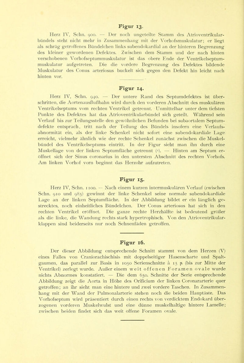 Herz IV, Schn. 900. — Der noch ungeteilte Stamm des Atrioventrikular- bündels steht nicht mehr in Zusammenhang mit der Vorhofsmuskulatur; er liegt als schräg getroffenes Bündelchen links subendokardial an der hinteren Begrenzung des kleiner gewordenen Defektes. Zwischen dem Stamm und der nach hinten verschobenen Vorhofseptummuskulatur ist das obere Ende der Ventrikelseptum- muskulatur aufgetreten. Die die vordere Begrenzung des Defektes bildende Muskulatur des Conus arteriosus buckelt sich gegen den Defekt hin leicht nach hinten vor. Figur 14. Herz IV, Schn. 940. — Der untere Rand des Septumdefektes ist über- schritten, die Aortenausflußbahn wird durch den vorderen Abschnitt des muskulären Ventrikelseptums vom rechten Ventrikel getrennt. Unmittelbar unter dem tiefsten Punkte des Defektes hat das Atrioventrikularbündel sich geteilt. Während sein Verlauf bis zur Teilungsstelle den gewöhnlichen Befunden bei subaortalem Septum- defekte entsprach, tritt nach der Teilung des Bündels insofern eine Verlaufs- abnormität ein, als der linke Schenkel nicht sofort eine subendokardiale Lage erreicht, vielmehr ähnlich wie der rechte Schenkel zunächst zwischen die Muskel- bündel des Ventrikelseptums eintritt. In der Figur sieht man ihn durch eine Muskellage von der linken Septumfläche getrennt (x). — Hinten am Septum er- öffnet sich der Sinus coronarius in den untersten Abschnitt des rechten Vorhofs. Am linken Vorhof vorn beginnt das Herzohr aufzutreten. Figur 15. Herz IV, Schn. iioo. — Nach einem kurzen intermuskulären Verlauf (zwischen Schn. 910 und 985) gewinnt der linke Schenkel seine normale subendokardiale Lage an der linken Septumfläche. In der Abbildung bildet er ein länglich ge- strecktes, noch einheitliches Bündelchen. Der Conus arteriosus hat sich in den rechten Ventrikel eröffnet. Die ganze rechte Herzhälfte ist bedeutend größer als die linke, die Wandung rechts stark hypertrophisch. Von den Atrioventrikular- klappen sind beiderseits nur noch Sehnenfäden getroffen. Figur 16. Der dieser Abbildung entsprechende Schnitt stammt von dem Herzen (V) eines Falles von Craniorachischisis mit doppelseitiger Hasenscharte und Spalt- gaumen, das parallel zur Basis in 1050 Serienschnitte ä 15 [i. (bis zur Mitte der Ventrikel) zerlegt wurde. Außer einem weit offenen Foramen ovale wurde nichts Abnormes konstatiert. — Die dem 650. Schnitte der Serie entsprechende Abbildung zeigt die Aorta in Höhe des Orificium der linken Coronararterie quer getroffen; an ihr sieht man eine hintere und zwei vordere Taschen. In Zusammen- hang mit der Wand der Pulmonalarterie stehen noch die beiden Hauptäste. Das Vorhofseptum wird präsentiert durch einen rechts von verdicktem Endokard über- zogenen vorderen Muskelwulst und eine dünne muskelhaltige hintere Lamelle; zwischen beiden findet sich das weit offene Foramen ovale.