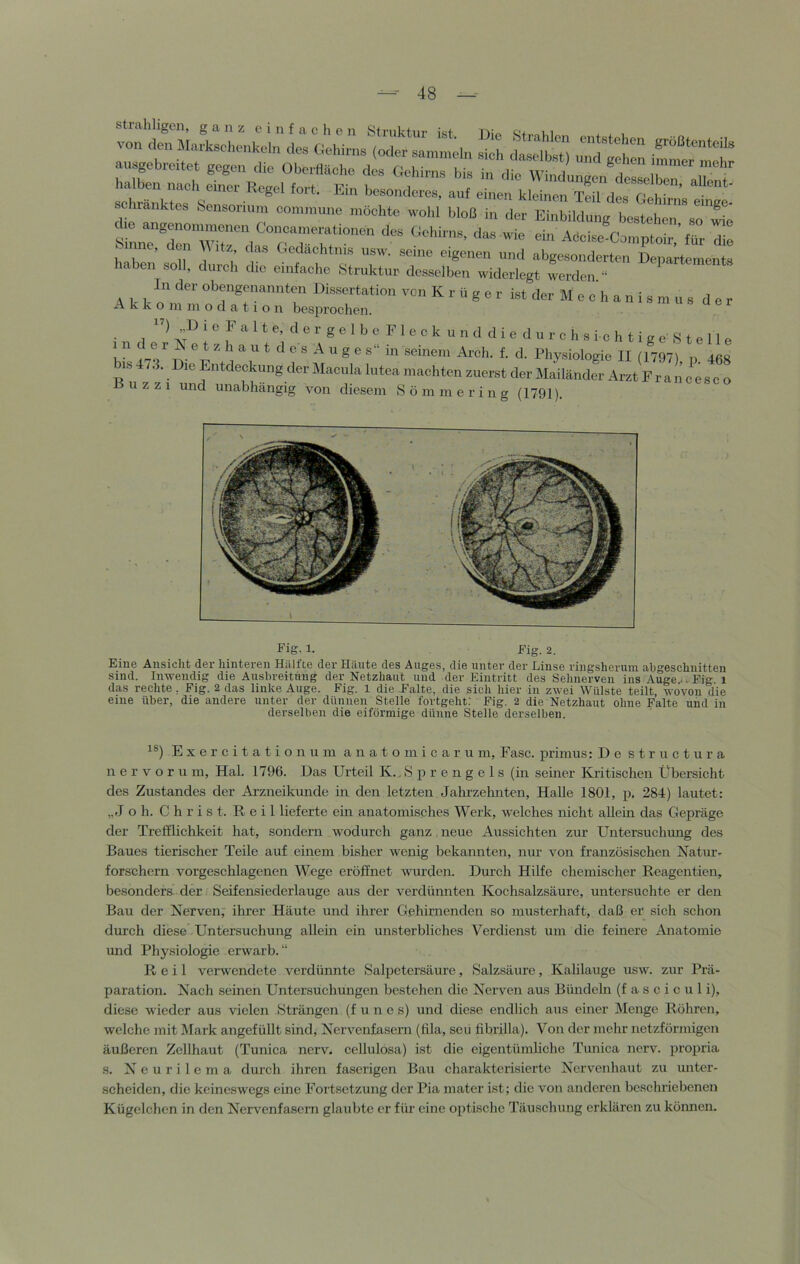 ausgebreitet gegen die Oberfläche des Gehirns bis in die Wi. 1 ^ ^ i schianktes hensonum commune möchte wohl bloß in der Einbildung bestehen so ^e A<.ome-Co„,ptoir;für die me, den itz das Gedächtnis usw. seine eigenen und abgesonderten Departements < ben soll, dureh die einfache Struktur desselben widerlegt werden “ obengenannten Dissertation von Krüger ist der M e e h a n i s m u s d e r A k k o 111 m o d a 11 o n besprochen. ■ r f ^ ® ^ ® ^ ^ ^ ^ ^ ^ i e o r 0 h s i c h t i g e' S t e 11 e 1 ” ^ 0 s A u g e s“ in seinem Arch. f. d. Physiologie II (1797), p 468 IS 4/3. Die Entdeckung der Macula lutea machten zuerst der Mailänder Arzt Francesco uz ZI und unabhängig von diesem Sömmering (1791). Fig-1. Fig. 2. Eine Ansicht der hinteren Hiilfte der Häute des Auges, die unter der Linse ringsherum ahgeschnitten sind. Inwendig die Ausbreitung der Netzhaut und der Eintritt des Sehnerven ins Auge. . Eig i das rechte, Fig. 2 das linke Auge. Fig. 1 die Falte, die sich hier in zwei Wulste teilt, wovon die eine über, die andere unter der dünnen Stelle fortgeht; Fig. 2 die Netzhaut ohne Falte und in derselben die eiförmige dünne Stelle derselben. ^®) E X e r c i t a t i o n u m a n a t o m i c a r u m, Fase, primus: De structura n e r V o r u m, Hai. 1796. Das Urteil K.. S p r e n g e 1 s (m seiner Kiätischen L'bersicht des Zustandes der Arzneikunde in den letzten Jahrzehnten, Halle 1801, p. 284) lautet: „ J o h. Christ. Reil lieferte ein anatomisches Werk, welches nicht allein das Gepräge der Trefflichkeit hat, sondern wodurch ganz. neue Aussichten zur Untersuchung des Baues tierischer Teile auf einem bisher wenig bekannten, nur von französischen Natur- forschern vorgeschlagenen Wege eröffnet wurden. Durch Hilfe chemischer Reagentien, besonders der Seifensiederlauge aus der verdünnten Kochsalzsäure, untersuchte er den Bau der Nerven, ihrer Häute und ihrer Gehirnenden so musterhaft, daß er sich schon durch diese Untersuchung allein ein unsterbliches Verdienst um die feinere Anatomie und Physiologie erwarb.“ Reil verwendete verdünnte Salpetersäure, Salzsäure, Kahlauge usw. zur Prä- paration. Nach seinen Untersuchungen bestehen die Nerven aus Bündehi (f a s c i c u 1 i), diese wieder aus vielen Strängen (f u n c s) und diese endlich aus einer JMenge Röhren, welche mit Mark angefüllt sind, Nervenfasern (lila, seü fibrilla). Von der mehr netzförmigen äußeren Zellhaut (Tunica nerv, eellulosa) ist die eigentümhehe Tunica nerv, propria s. Ncurilema durch ihren faserigen Bau charakterisierte Nervenhaut zu unter- scheiden, die keineswegs eine Fortsetzung der Pia mater ist; die von anderen beschriebenen Kügelchen in den Nervenfasern glaubte er für eine optische Täuschung erklären zu können.