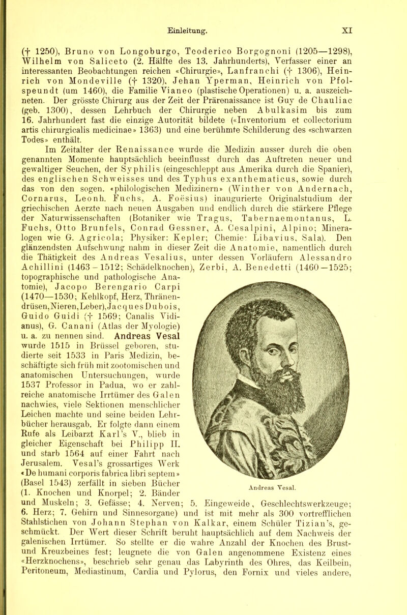 (f 1250), Bruno von Longoburgo, Tcoderico Borgognoni (1205—1298), Wilhelm von Saliceto (2. Hälfte des 13. Jahrhunderts), Verfasser einer an interessanten Beobachtungen reichen «Chirurgie», Lanfranchi (f 1306), Hein- rich von Mondeville (f 1320), Jehan Yperman, Heinrich von Pfol- speundt (um 1460), die Familie Vianeo (plastischeOperationen) u. a. auszeich- neten. Der grösste Chirurg aus der Zeit der Prärenaissance ist Guy de Chauliac (geb. 1300), dessen Lehrbuch der Chirurgie neben Abulkasim bis zum 16. Jahrhundert fast die einzige Autorität bildete («Inventorium et collectorium artis chirurgicalis raedicinae» 1363) und eine berühmte Schilderung des «schwarzen Todes» enthält. Im Zeitalter der Renaissance wurde die Medizin ausser durch die oben genannten Momente hauptsächlich beeinflusst durch das Auftreten neuer und gewaltiger Seuchen, der Syphilis (eingeschleppt aus Amerika durch die Spanier), des englischen Schweisses und des Typhus exanthematicus, sowie durch das von den sogen, «philologischen Medizinern» (Winther von Andernach, Cornarus, Leonh. Fuchs, A. Foesius) inaugurierte Originalstudium der griechischen Aerzte nach neuen Ausgaben und endlich durch die stärkere Pflege der Naturwissenschaften (Botaniker wie Tragus, Tabernaemontanus, L. Fuchs, Otto Brunfels, Conrad Gessner, A. Cesalpini, Alpino; Minera- logen wie G. Agricola; Physiker: Kepler; Chemie: Libavius, Sala). Den glänzendsten Aufschwung nahm in dieser Zeit die Anatomie, namentlich durch die Thätigkeit des Andreas Vesalius, unter dessen Vorläufern Alessandro Achillini (1463-1512; Schädelknochen), Zerbi, A. Benedetti (1460 — 1525; topographische und pathologische Ana- tomie), Jacopo Berengario Carpi (1470—1530; Kehlkopf, Herz, Thränen- drüsen,Nieren,Leber),Jacq u es Du bois, Guido Guidi (f 1.569; Canalis Vidi- anus), G. Canani (Atlas der Myologie) u. a. zu nennen sind. Andreas Vesal wurde 1515 in Brüssel geboren, stu- dierte seit 1533 in Paris Medizin, be- schäftigte sich früh mit zootomischen und anatomischen Untersuchungen, wurde 1537 Professor in Padua, wo er zahl- reiche anatomische Irrtümer des Galen nachwies, viele Sektionen menschlicher Leichen machte und seine beiden Lehr- bücher herausgab. Er folgte dann einem Rufe als Leibarzt Karl’s V., blieb in gleicher Eigenschaft bei Philipp II. und starb 1564 auf einer Fahrt nach Jerusalem. Vesal’s grossartiges Werk «De humani corporis fabrica libri septem» (Basel 1543) zerfällt in sieben Bücher (1. Knochen und Knorpel; 2. Bänder und Muskeln; 3. Gefässe; 4. Nerven; 5. Eingeweide, Geschlechtswerkzeuge; 6. Herz; 7. Gehirn und Sinnesorgane) und ist mit mehr als 300 vortrefflichen Stahlstichen von Johann Stephan von Kalkar, einem Schüler Tizian’s, ge- schmückt. Der Wert dieser Schrift beruht hauptsächlich auf dem Nachweis der galenischen Irrtümer. So stellte er die wahre Anzahl der Knochen des Brust- und Kreuzbeines fest; leugnete die von Galen angenommene Existenz eines «Herzknochens», beschrieb sehr genau das Labyrinth des Ohres, das Keilbein, Peritoneum, Mediastinum, Cardia und Pylorus, den Fornix und vieles andere. Andreas Vesal.