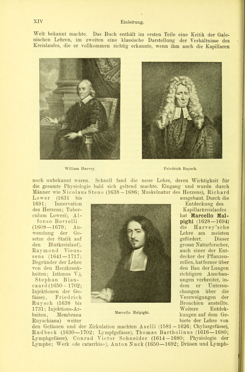 Welt bekannt machte. Das Buch enthält iin ersten Teile eine Kritik der Gale- nischen Lehren, im zweiten eine klassische Darstellung der Verhältnisse des Kreislaufes, die er vollkommen richtig erkannte, wenn ihm auch die Kapillaren William llarvey. Friedrich Ruysch. noch unbekannt waren. Schnell fand die neue Lehre, deren Wichtigkeit für die gesamte Physiologie bald sich geltend machte. Eingang und wurde durch Männer wie Nicolaus Steno (1G38 —1686; Muskelnatur des Herzens), Richard Lower (1631 bis 1691; Innervation des Herzens; Tuber- culum Loweri), Al- fonse Borrelli (1608—1679; An- wendung der Ge- setze der Statik auf den Blutkreislauf), Ravmond Vieus- sens (1641 — 1717; Begründer der Lehre von den Herzkrank- heiten; Isthmus V.), Stephan Blan- caard (1650-1702; Injektionen der Ge- fässe), Friedrich Ruysch (1638 bis 1731; Injektions-Ar- beiten, Membrana Ruyschiana) weiter den Getässen und der Zirkulation machten Aselli (1581 Marcello Malpighi. ausgebaut. Durch die Entdeckung des Kapillarkreislaufes hat Mapcello Mal- pig-hi (1628 — 1694) die Harvey’sche Lehre am meisten gefördert. Dieser grosse Naturforscher, auch einer der Ent- decker der Pflanzen- zellen, hat ferner über den Bau der Lungen richtigere Anschau- ungen verbreitet, in- dem er Untersu- chungen über die Verzweigungen der Bronchien anstellte. Weitere Entdek- kungen auf dem Ge- biete der Lehre von 1626; Chylusgefässe), Rudbeck (1630—1702; Lympfgefässej, Thomas ßartholinus (1616—1680; Lymphgefässe), Conrad Victor Schneider (1614 — 1680; Physiologie der Lymphe; Werk «de catarrhis»), Anton Nuck (1650—1692; Drüsen und Lymph-