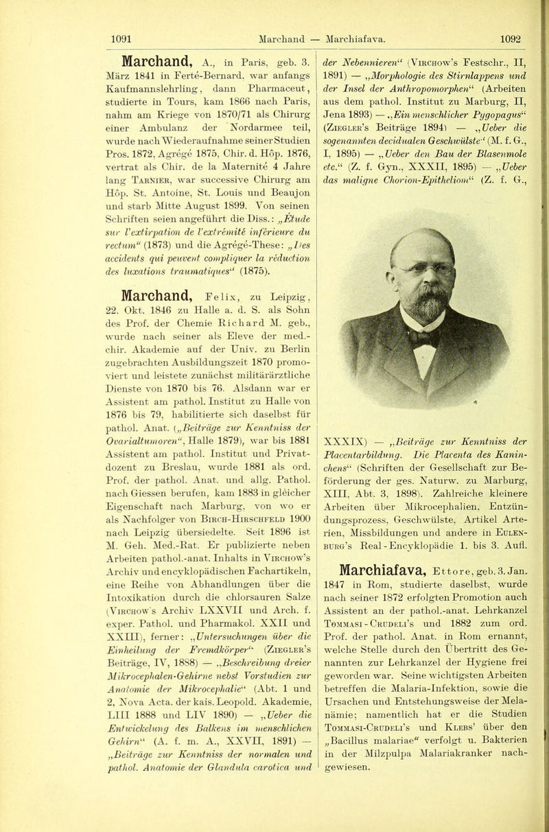 Marchand, a., in Paris, geb. 3. März 1841 in Perte-Bernard. war anfangs Kanfmannslehrling, dann Pliarmaceut, studierte in Tours, kam 1866 nach Paris, nahm am Kriege von 1870/71 als Chirurg einer Ambulanz der Nordarmee teil, wurde nach Wiederaufnahme seiner Studien Pros. 1872, Agrege 1875, Clitr. d. Hop. 1876, vertrat als Chir. de la Maternite 4 Jahre lang Tarnier, w'ar successive Chirurg am Hop. St. Antoine, St. Louis und Beaujon imd starb Mitte August 1899. Von seinen Schriften seien angefülirt die Hiss.: „Müde sur Vextirpation de l’extremite inferieure du recOew (1873) und die Agrege-These: „lies accidents qui peuvevt compliquer la reduction des luxations traurnatiques‘ (1875). Marchand, Pei ix, zu Leipzig, 22. Okt. 1846 zu Halle a. d. S. als Sohn des Prof, der Chemie Edchard M. geb., wurde nach seiner als Eleve der med.- chir. Akademie auf der Univ. zu Berlin zugebrachten Ausbildungszeit 1870 promo- viert und leistete zunächst mUitärärztliche Dienste von 1870 bis 76. Alsdann war er Assistent am pathol. Listitut zu Halle von 1876 bis 79, habilitierte sich daselbst für pathol. Anat. („Beiträge zur Kenntniss der Ovarialtumoren“1879), war bis 1881 Assistent am pathol. Institut und Privat- dozent zu Breslau, wurde 1881 als ord. Prof, der pathol. Anat. und allg. Pathol. nach Giessen berufen, kam 1883 in gleicher Eigenschaft nach Marburg, von wo er als Nachfolger von Birch-Hirschfeld 1900 nach Leipzig übersiedelte. Seit 1896 ist M. Geh. Med.-Kat. Er publizierte neben Arbeiten pathol.-anat. Inhalts in Virchow’s Archiv und encyklopädischen Eachartikeln, eine Reihe von Abhandlungen über die Intoxikation durch die chlorsauren Salze (ViRCHOw's Archiv LXXVH und Arch. f. exper. Pathol. und Pharmakol. XXII und XXIII), ferner: ,,Untersuchungen über die Einheilung der Fremdkörper’' (Ziegler’s Beiträge, IV, 1888) — „Beschreibung dreier Mikrocephalen-Gehirne nebst Vorstudien zur Anatomie der Mikrocephalie” (Abt. 1 und 2. Nova Acta, der kais. Leopold. Akademie, LIII 1888 und LIV 1890) — „üeber die Entwickelung des Balkens im menschlichen Gehirn” (A. f. m. A., XXVH, 1891) — „Beiträge zur Kenntniss der normalen und pathol. Anatomie der Glandula carotica und der Nebennieren” (Virchow’s Festschr., II, 1891) — „Morphologie des Stirnlappens und der Insel der Anthropomorphen” (Arbeiten aus dem pathol. Institut zu Marburg, II, Jena 1893) — „Ein menschlicher Pygopagus” (Ziegler’s Beiträge 1894) — „Ueber die sogenannten decidualen Geschwülste“ (M. f. G., I, 1895) — „Ueber den Bau der Blasenmole etc.” (Z. f. Gyn., XXXII, 1895) - „Ueber das maligne Chorion-Epitheliom” (Z. f. G., XXXIX) — „Beiträge zur Kenntniss der Placentarbildung. Die Placenta des Kanin- chens” (Schriften der Gesellschaft zur Be- förderung der ges. Naturw. zu Marburg, XIII, Abt. 3, 1898). Zahlreiche kleinere Arbeiten über Mikrocephalien, Entzün- dungsprozess, Geschwülste, Artikel Arte- rien, Missbildungen und andere in Eulen- burg’s Real-Encyklopädie 1. bis 3. Aull. Marchiafava, Ettore, geb.3. Jan. 1847 in Rom, studierte daselbst, wurde nach seiner 1872 erfolgten Promotion auch Assistent an der pathol.-anat. Lehrkanzel Tommasi-Crudeli’s und 1882 zum ord. Prof, der pathol. Anat. in Rom ernannt, welche Stelle durch den Übertritt des Ge- nannten zur Lelirkanzel der Hygiene frei geworden war. Seine wichtigsten Arbeiten betreffen die Malaria-Infektion, sowie die Ursachen und Entstehungsweise der Mela- nämie; namentlich hat er die Studien Tommasi-Crudeli’s und Klees’ über den „Bacillus malariae verfolgt u. Bakterien in der Milzpulpa Malariakranker nach- gewiesen.