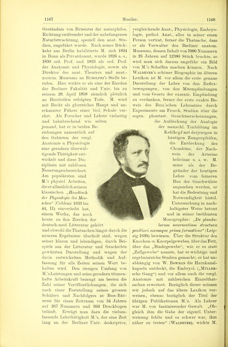 Geständnis von Rudolphi der naturpliilos. Richtung entfremdet und der unbefangenen Naturbetrachtung, S23eziell den anat. Stu- dien, zugeführt wurde. Nach seiner Rück- kehr aus Berlin habilitierte M. sich 1824 in Bonn als Privatdozent, wurde 1826 a. o., 1830 ord. Prof, und 1833 als ord. Prof, der Anatomie und Physiologie, sowie als Direktor des anat. Theaters und anat.- zootom. Mrrseums an Rudolphi’s Stelle be- rufen. Hier wirkte er als eine der Zierden der Berliner Pakultät und Univ. bis zu seinem 28. April 1858 ziemlich plötzlich an Herzleiden erfolgten Tode. M. wird mit Recht als glorreiches Haupt und an- erkannter Pührer einer biol. Schule ver- ehrt. Als Forscher und Lehrer vielseitig und bahnbrechend wie selten jemand, hat er in beiden Be- ziehungen namentlich auf den Gebieten der vergl. Anatomie u. Physiologie eine geradezu überwäl- tigende Thätigkeit ent- wickelt und diese Dis- ziplinen mit zaliUoseu Neuerungenbereichert. Am populärsten sind M.’s physiol, Arbeiten, die er allmählich seinem klassischen Handbuch der Physiologie des Men- schen“ (Coblenz 1833 bis 44, II) einverleibt hat, einem Werke, das noch heute zu den Zierden der deutsch-med. Litteratur gehört und obwohl die Thatsachen längst durch die neueren Ergebnisse überholt sind, wegen seiner klaren und lebendigen, durch Bei- spiele aus der Litteratur und Geschichte gewürzten Darstellung und wegen der i darin entwickelten Methodik und Auf- fassrrng für alle Zeiten seinen Wert be- halten wird. Den riesigen Umfang von M.’s Leistungen und seine geradezu titanen- hafte Arbeitskraft bezeugt am besten die Zahl seiner Veröffentlichungen, die sich nach einer Feststellung seines grossen Schülers und Nachfolgers du Bois-Rey- MOND für einen Zeitraum von 34 Jahren arrf 267 Nummern und 950 Druckbogen beläuft. Erwägt man dazu die vielum- fassende Lehrthätigkeit M.’s, der eine Zeit lang an der Berliner Univ. deskriptive. vergleichende Anat., Physiologie, Embryo- logie, pathol. Anat., alles in seiner einen Person vertrat, ferner die Thatsache, dass er als Verwalter des Berliner anatom. Museums, dessen Inhalt von 7000 Nummern in 25 Jaliren auf 12380 Stück brachte, so wird man sich daraus ungefälu ein Bild von M.’s Schaffen machen können. Nach Waldeyer’s schöner Biographie im älteren Lexikon ist M. vor allem die erste genaue Darstellung der Lehre von den Reflex- bewegungen, von den Mitempfindungen und vom Gesetz der exzentr. Empfindung zu verdanken, ferner der erste exakte Be- weis des BELL’schen Lehrsatzes durch Experimente am Frosch, Studien über die sogen, phantast. Gesichtserscheiiiungen, die Aufdeckung der Analogie der menschl. Tonbildung im Kehlkopf mit derjenigen in häutigen Zungenpfeifen, die Entdeckung des Chondrins, der Nach- weis der Arteriae helicinae u. s. w. M. muss als der Be- gründer der heutigen Lehre vom feineren Bau der Geschwülste angesehen werden, er hat die Bedeutung und Notwendigkeit histol. Untersuchung in nach- haltigster Weise betont und in seiner berühmten Monographie; „De glandu- larum secernenfium structura penitiori eorumque prima formatinne“ (Leip- zig 1830) bewiesen. Uber die Struktur des Knochen- u. Knorpelgewebes, über das Fett, über das „Bindegewebe“, wie er es statt „Zellgewebe“ nannte, hat er wichtige und ergebnisreiche Studien gemacht; er hat un- abhängig von W. Bowman die Harnkanal- kapseln entdeckt, die Embryol. („Müller- sche Gang“) und vor allem auch die vergl. Anatomie mit zahlreichen Einzelthat- sachen erweitert. Bezüglich dieser müssen wir jedoch auf das ältere Lexikon ver- weisen, ebenso bezüglich der Titel der übrigen Publikationen M.’s. Als Lehrer war M. von faszinierender Gewalt. „Ob- gleich ihm die Gabe der eigentl. Unter- weisung fehlte und es schwer war, ihm näher zu treten (Waldeyer), wirkte M.