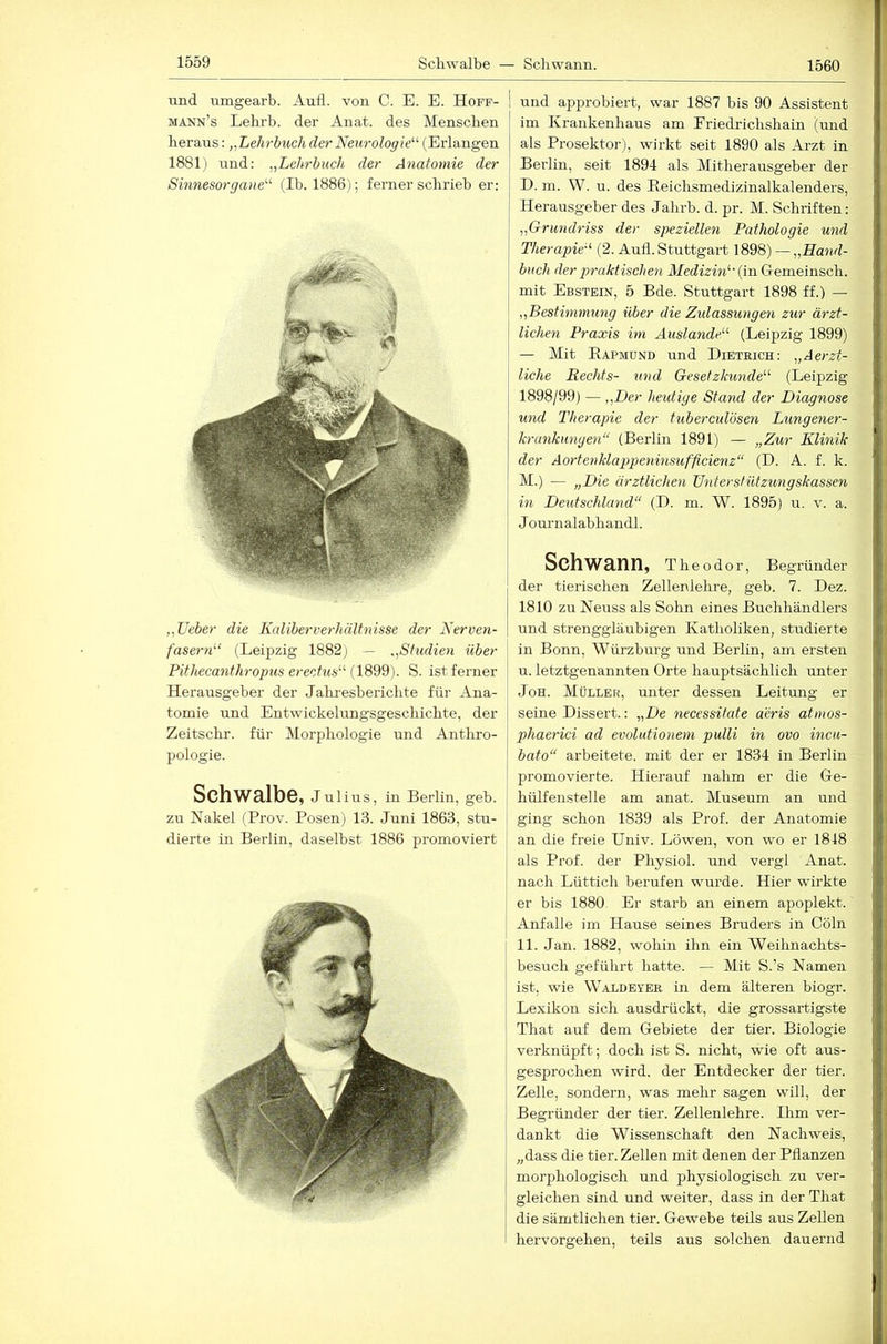 1560 und nmgearb. And. von C. E. E. Hoff- mann’s Lehrb. der Anat. des Menschen heraus; „LehrbuchderNeurologie^^ (Erlangen 1881) und: „Lehrbuch der Anatomie der Sinnesorgane'-'' (Ib. 1886); ferner schrieb er; L« I „Lieber die Kaliberverhältnisse der Nerven- fasern^’ (Leipzig 1882) — „Studien über Pithecanthropus erectus” (18d9). S. ist ferner Herausgeber der Jahresberichte für Ana- tomie und Entwickelungsgeschichte, der Zeitschr. für Morphologie und Anthro- pologie. Schwalbe, juHus, in Berlin, geh. zu Nakel (Prov. Posen) 13. Juni 1863, stu- dierte in Berlin, daseihst 1886 promoviert und approbiert, war 1887 bis 90 Assistent im Krankenhaus am Eriedrichshain (und als Prosektor), wirkt seit 1890 als Arzt in Berlin, seit 1894 als Mitherausgeber der D. m. W. u. des Eeichsmedizinalkalenders, [ Herausgeber des Jahrb. d. pr. M. Schriften: „Grundriss der speziellen Pathologie und Therapie-’ (2. Aufl. Stuttgart 1898) — „Hand- I blich der prakt ischen Medizin’- {in Gemeinsch. I mit Ebstein, 5 Bde. Stuttgart 1898 ff.) — I „Bestimmung über die Zidassungen zur ärzt- ! liehen Praxis im Auslande” (Leipzig 1899) I — Mit Eapmund und Dietrich: „Aerzt- liche Rechts- und Gesetzkunde” (Leipzig 1898/99) — „Der heutige Stand der Diagnose und Therapie der tuberculösen Lungener- kranknngen“ (Berlin 1891) — „Zur Klinik der Aortenklappeninsufficienz“ (D. A. f. k. M.) — „Die ärztlichen Untersfützungskassen j in Deutschland“ (D. m. W. 1895) u. v. a. Jomnalabhandl. I Schwann, Theodor, Begründer der tierischen Zellenlehre, geh. 7. Dez. 1810 zu Neuss als Sohn eines Buchhändlers und strenggläubigen Katholiken, studierte in Bonn, Würzburg und Berlin, am ersten u. letztgenannten Orte hauptsächlich unter JoH. Müller, unter dessen Leitung er seine Dissert.; „De necessitate aeris atmos- phaerici ad evolutionem pulli in ovo incu- bato“ arbeitete, mit der er 1834 in Berlin promovierte. Hierauf nahm er die Ge- hülfeiistelle am anat. Museum an und ging schon 1839 als Prof, der Anatomie an die freie Uiiiv. Löwen, von wo er 1848 als Prof, der Physiol. und vergl Anat. nach Lüttich berufen wurde. Hier wirkte er bis 1880 Er starb an einem apoplekt. Anfalle im Hause seines Bruders in Cöln 11. Jan. 1882, wohin ihn ein Weihnachts- besuch geführt hatte. — Mit S.’s Namen ist, wie Waldeybr in dem älteren biogr. Lexikon sich ausdrückt, die grossartigste That auf dem Gebiete der tier. Biologie verknüpft; doch ist S. nicht, wie oft aus- gesprochen wird, der Entdecker der tier. Zelle, sondern, was mehr sagen will, der Begründer der tier. Zellenlehre. Ihm ver- dankt die Wissenschaft den Nachweis, „dass die tier. Zellen mit denen der Pflanzen morphologisch und physiologisch zu ver- gleichen sind und weiter, dass in der That die sämtlichen tier. Gewebe teils aus Zellen hervorgehen, teils aus solchen dauernd