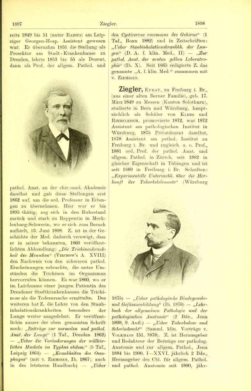 reits 1849 bis 51 (imter Eadiüs) am Leip- ziger Georgeii-Hosp. Assistent gewesen war. Er übernahm 1851 die Stellung als Prosektor am Stadt-Krankenbause zu Dresden, lehrte 1853 bis 55 als Dozent, dann als Prof, der allgem. Pathol. und pathol. Anat. an der cliir.-med. Akademie daselbst und gab diese Stellungen erst 1862 auf, um die ord. Professur in Erlan- gen zu übernehmen. Hier war er bis 1895 thätig, zog sich in den Kuhestand zurück und starb zu Reppentin in Meck- lenburg-Schwerin, wo er sich zum Besuch aufhielt, 13. Juni 1898. Z. ist in der Ge- schichte der Med. dadurch verewigt, dass er in seiner bekannten, 1860 veröffent- lichten Abhandhmg: „Die Trichinenkranlc- heit des MenscherD (Virchow’s A. XVIII) den Nachweis von den schweren pathol. Erscheinungen erbrachte, die unter Um- ständen die Trichinen im Oi-ganismus hervorrufen können. Es war 1860, wo er im Leichname einer jungen Patientin des Dresdener Stadtkrankenhauses die Trichi- nose als die Todesursache ermittelte. Des weiteren hat Z. die Lehre von den Staub- inhalationskrankheiten besonders der Lunge weiter ausgedehnt. Er veröffent- lichte ausser der oben genannten Schrift noch: „Beiträge zur normalen tind pathol. Anal, der Lunge^'' (1 Taf., Dresden 1862) — ,, üeber die Veränderungen der tvillkür- lichen Muskeln im Typhus abdom.^‘‘ (5 Taf., Leipzig 1864) — „Krankheiten des Oeso- phagus“ (mit V. ZiEMSSEN, Ib. 1867; auch in des letzteren Handbuch) — „lieber den Cysticercus racemosus des Gehirns“ (1 Taf., Bonn 1882) und in Zeitschriften: „lieber Staubinhalationskrankhh. der Lun- gen“ (D. A. f. klin. Med., II) — „Zur pathol. Anat. der acuten gelben Leberatro- phie“ (Ib. X). Seit 1865 redigierte Z. das genannte „A. f. klin. Med.“ zusammen mit V. ZiEMSSEN. Ziegler, Ernst, zu Ereiburg i. Br., (aus einer alten Berner Familie), geb. 17. März 1849 zu Messen (Kanton Solothurn), studierte in Bern und Würzburg, haupt- sächlich als Schüler von Klebs und Rindfleisch, promovierte 1872, war 1872 Assistent am pathologischen Institut in Würzburg, 1875 Privatdozent daselbst, 1878 Assistent am pathol. Institut zu Freiburg i. Br. und zugleich a. o. Prof., 1881 ord. Prof, der pathol. Anat. und allgem. Pathol. in Zürich, seit 1882 in gleicher Eigenschaft in Tübingen und ist seit 1889 in Freiburg i. Br. Schriften: „Experimentelle Untersuchh. über die Her- kunft der Tuberkelelemente“ (Würzburg 1875) — „lieber pathologische Bindegeivebs- und Gefässneubildung“ (Ib. 1876) — „Lehr- buch der allgemeinen Pathologie und der pathologischen Anatomie“ (2 Bde., Jena 1898, 9. Aufl.) — „lieber Tuberkulose und Schwindsucht“ (Samml. klin. Vorträge v. Volkmann 151, 3878). Z. ist Herausgeber und Redakteur der Beiträge zur patholog. Anatomie und zur allgem. Pathol., Jena 1884 bis 1900, I-XXVI. jährlich 2 Bde., Herausgeber des Cbl. für allgem. Pathol. und pathol. Anatomie seit 1890, jähr-