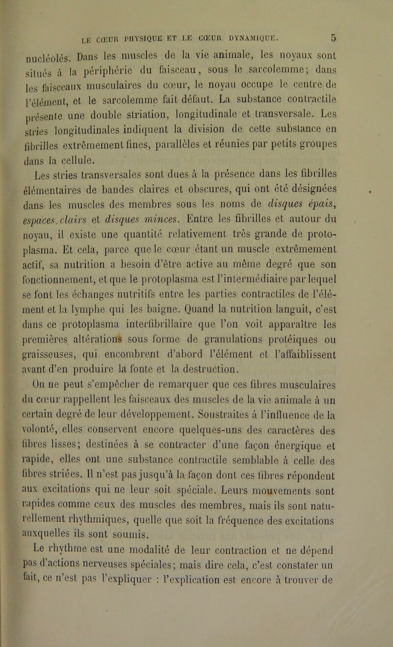 nucléoles. Dans les muscles de la vie animale, les noyaux sonl situés à la périphérie du faisceau, sous le sarcolemme; dans les faisceaux musculaires du cœur, le noyau occupe le centre de l’élément, et le sarcolemme fait défaut. La substance contractile présente une double striation, longitudinale et transversale. Les stries longitudinales indiquent la division de cette substance en fibrilles extrêmement fines, parallèles et réunies par petits groupes dans la cellule. Les stries transversales sont dues à la présence dans les fibrilles élémentaires de bandes claires et obscures, qui ont été désignées dans les muscles des membres sous les noms de disques épais, espaces. clairs et disques minces. Entre les fibrilles et autour du noyau, il existe une quantité relativement très grande de proto- plasma. Et cela, parce que le cœur étant un muscle extrêmement actif, sa nutrition a besoin d’être active au même degré que son fonctionnement, et que le protoplasma est l’intermédiaire par lequel se font les échanges nutritifs entre les parties contractiles de l’élé- ment et la lymphe qui les baigne. Quand la nutrition languit, c’est dans ce protoplasma interfibrillaire que l’on voit apparaître les premières altérations sous forme de granulations protéiques ou graisseuses, qui encombrent d’abord l’élément et l’affaiblissent avant d’en produire la fonte et la destruction. On ne peut s’empêcher de remarquer que ces fibres musculaires du cœur rappellent les faisceaux des muscles de la vie animale à un certain degré de leur développement. Soustraites à l’influence de la volonté, elles conservent encore quelques-uns des caractères des libres lisses; destinées à se contracter d’une façon énergique et rapide, elles ont une substance contractile semblable à celle des fibres striées. 11 n’est pas jusqu’à la façon dont ces libres répondent aux excitations qui ne leur soit spéciale. Leurs mouvements sont rapides comme ceux des muscles des membres, mais ils sont natu- rellement rhythmiques, quelle que soit la fréquence des excitations auxquelles ils sont soumis. Le rhylhme est une modalité de leur contraction et ne dépend pas d’actions nerveuses spéciales; mais dire cela, c’est constater un fait, ce n’est pas l’expliquer : l’explication est encore à trouver de