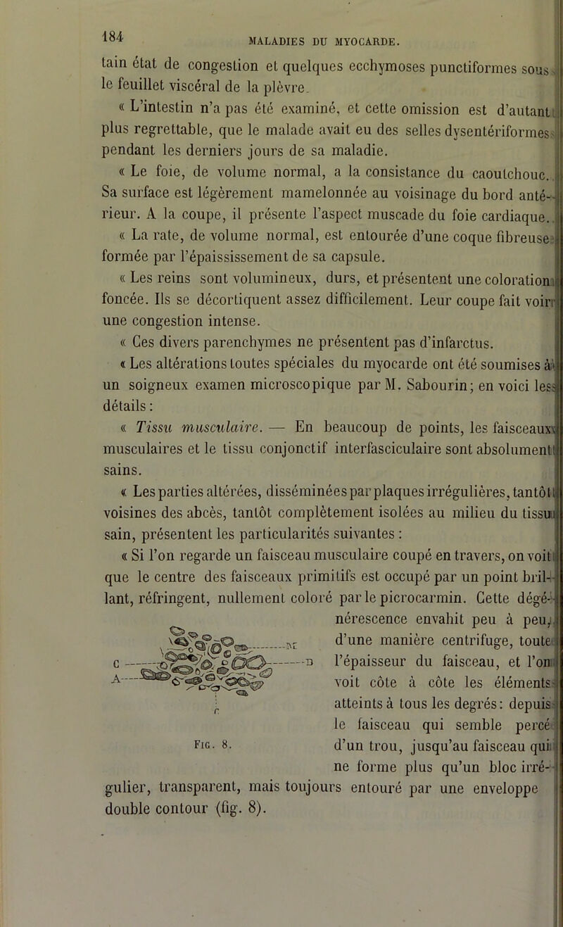 ■184 MALADIES DU MYOCARDE. tain état de congestion et quelques ecchymoses punctiformes sous s le feuillet viscéral de la plèvre. «L’intestin n’a pas été examiné, et cette omission est d’autant plus regrettable, que le malade avait eu des selles dysentériformes- pendant les derniers jours de sa maladie. « Le foie, de volume normal, a la consistance du caoutchouc. Sa surface est légèrement mamelonnée au voisinage du bord anté- rieur. A la coupe, il présente l’aspect muscade du foie cardiaque. « La rate, de volume normal, est entourée d’une coque fibreuse formée par l’épaississement de sa capsule. « Les reins sont volumineux, durs, et présentent une coloration foncée. Ils se décortiquent assez difficilement. Leur coupe fait voir une congestion intense. « Ces divers parenchymes ne présentent pas d’infarctus. « Les altérations toutes spéciales du myocarde ont été soumises a», un soigneux examen microscopique par M. Sabourin; en voici les; détails : « Tissu musculaire. — En beaucoup de points, les faisceaux^ musculaires et le tissu conjonctif interfasciculaire sont absolument sains. « Les parties altérées, disséminées par plaques irrégulières, tantôt voisines des abcès, tantôt complètement isolées au milieu du tissui sain, présentent les particularités suivantes : « Si l’on regarde un faisceau musculaire coupé en travers, on voit que le centre des faisceaux primitifs est occupé par un point bril- lant, réfringent, nullement coloré par le picrocarmin. Cette dégé- nérescence envahit peu à peu,ii d’une manière centrifuge, toute l’épaisseur du faisceau, et l’on voit côte à côte les éléments- atteintsà tous les degrés: depuis- le faisceau qui semble percé d’un trou, jusqu’au faisceau qui. ne forme plus qu’un bloc irré- gulier, transparent, mais toujours entouré par une enveloppe double contour (fig. 8).