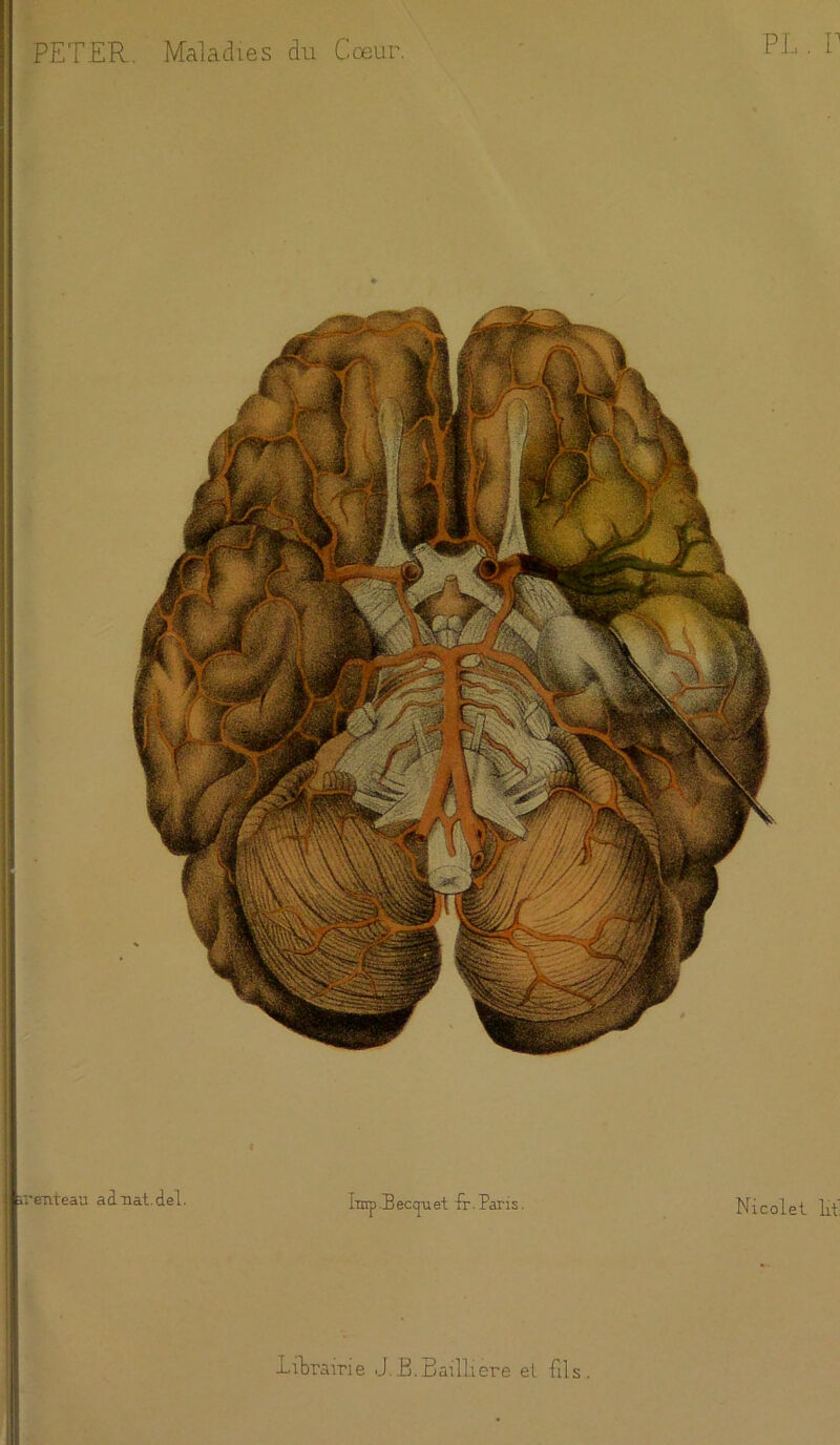 pl . r fcrenteau aànat.del. hnp.Beccpiet fr.Paris. Nicolet lit Librairie J.B.Baillière et fils.