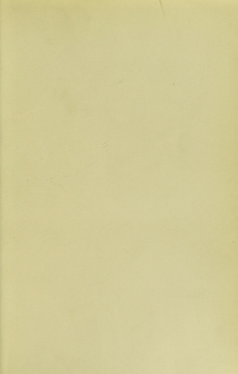 . V. i • t! h- / f-' r ■ I t r; ft { i 1^' i r i. I I I t - { i t I