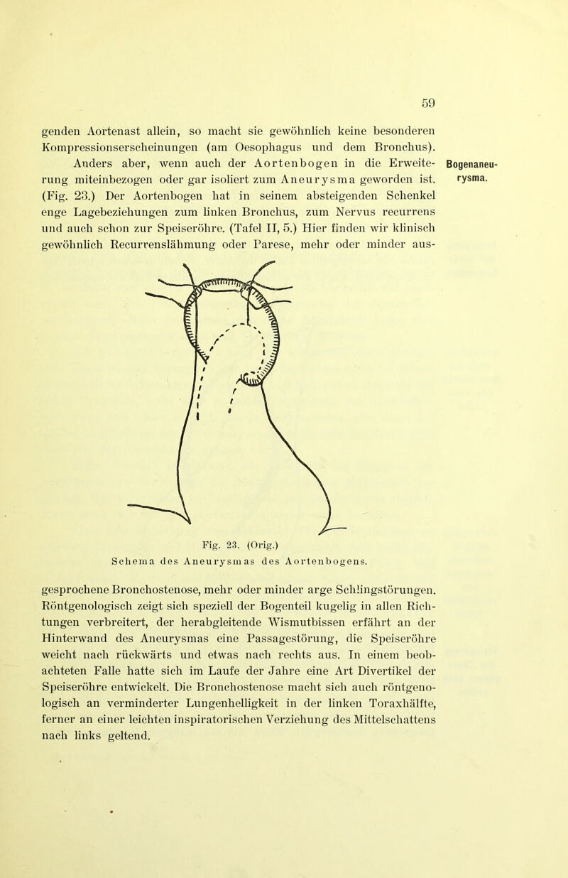 genden Aortenast allein, so macht sie gewöhnlich keine besonderen Kompressionserscheinungen (am Oesophagus und dem Bronchus). Anders aber, wenn auch der Aortenbogen in die Erweite- rung miteinbezogen oder gar isoliert zum Aneurysma geworden ist. (Fig. 23.) Der Aortenbogen hat in seinem absteigenden Schenkel enge Lagebeziehungen zum linken Bronchus, zum Nervus recurrens und auch schon zur Speiseröhre. (Tafel II, 5.) Hier finden wir klinisch gewöhnlich Recurrenslähmung oder Parese, mehr oder minder aus- gesprochene Bronchostenose, mehr oder minder arge Schüngstörungen. Röntgenologisch zeigt sich speziell der Bogenteil kugelig in allen Rich- tungen verbreitert, der herabgleitende Wismutbissen erfährt an der Hinterwand des Aneurysmas eine Passagestörung, die Speiseröhre weicht nach rückwärts und etwas nach rechts aus. In einem beob- achteten Falle hatte sieh im Laufe der Jahre eine Art Divertikel der Speiseröhre entwickelt. Die Bronchostenose macht sich auch röntgeno- logisch an verminderter Lungenhelligkeit in der linken Toraxhälfte, ferner an einer leichten inspiratorischen Verziehung des Mittelschattens nach links geltend. Bogenaneu- rysma.