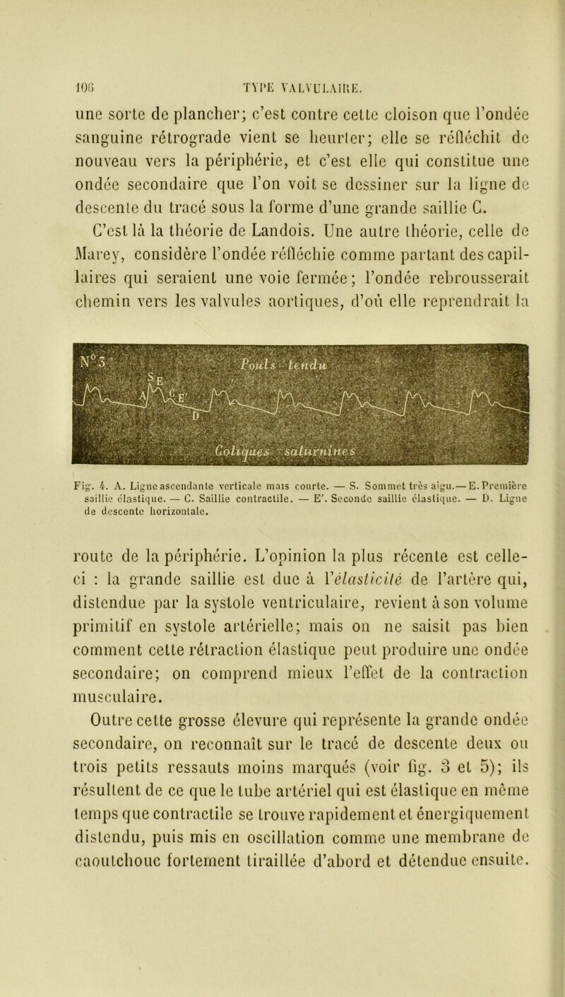 une sorte de plancher; c’est contre cette cloison que l’ondée sanguine rétrograde vient se heurter; elle se réfléchit de nouveau vers la périphérie, et c’est elle qui constitue une ondée secondaire que l’on voit se dessiner sur la ligne de descente du tracé sous la forme d’une grande saillie C. C’est Là la théorie de Landois. Une autre théorie, celle de Marey, considère l’ondée réfléchie comme partant des capil- laires qui seraient une voie fermée ; l’ondée rebrousserait chemin vers les valvules aortiques, d’où elle reprendrait la Fig. 4. A. Ligne ascendante verticale mais courte. — S. Sommet très aigu.— E. Première saillie élastique. — C. Saillie contractile. — E’. Seconde saillie élastique. — D. Ligne de descente horizontale. route de la périphérie. L’opinion la plus récente est celle- ci : la grande saillie est due à l'élasticité de l’artère qui, distendue par la systole ventriculaire, revient à son volume primitif en systole artérielle; mais on ne saisit pas bien comment cette rétraction élastique peut produire une ondée secondaire; on comprend mieux l’effet de la contraction musculaire. Outre cette grosse élevure qui représente la grande ondée secondaire, on reconnaît sur le tracé de descente deux ou trois petits ressauts moins marqués (voir fig. 3 et 5); ils résultent de ce que le tube artériel qui est élastique en meme temps que contractile se trouve rapidement et énergiquement distendu, puis mis en oscillation comme une membrane de caoutchouc fortement tiraillée d’abord et détendue ensuite.