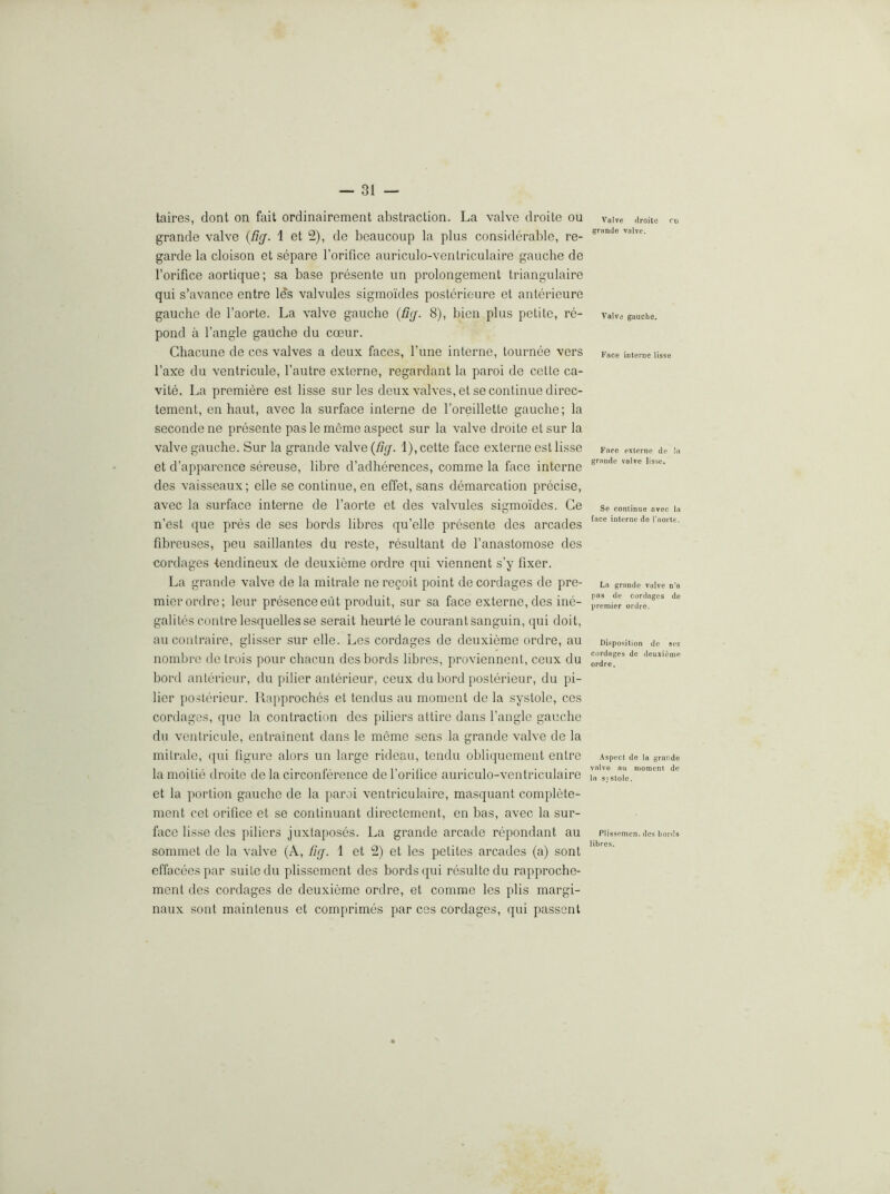 taires, dont on fait ordinairement abstraction. La valve droite on grande valve {fig. 1 et 2), de beaucoup la plus considerable, re- garde la cloison et separe rorifice auriculo-venlriculaire gauche de Torifice aortique; sa base presente un prolongement triangulaire qui s’avance entre les valvules sigmoides posterieure et anterieure gauche de I’aorte. La valve gauche {fig. 8), bien plus petite, re- pond a Tangle gauche du coeur. Chacune de ces valves a deux faces. Tune interne, tournee vers Taxe du ventricule, Tautre externe, regardant la paroi de cette ca- vite. La premiere est lisse sur les deux valves, et se continue direc- tement, en haul, avec la surface interne de Toreillette gauche; la seconde ne presente pas le meme aspect sur la valve droite et sur la valve gauche. Sur la grande valve (fig. 1), cette face externe est lisse et d’apparence sereuse, libre d’adherences, comme la face interne des vaisseaux; elle se continue, en effet, sans demarcation precise, avec la surface interne de Taorte et des valvules sigmoides. Ge O n’est que pres de ses bords libres qu’elle presente des arcades fibreuses, peu saillantes du reste, resultant de Tanastomose des cordages iendineux de deuxieme ordre qui viennent s’y fixer. La grande valve de la mitrale neregoit point de cordages de pre- mier ordre; leur presence eut produit, sur sa face externe, des ine- galites centre lesquellesse serait heurtele courantsanguin, qui doit, aucoutraire, glisser sur elle. Les cordages de deuxieme ordre, au nombro de Irois pour chacun des bords libres, proviennent, ceux du bord anterieur, du pilier anterieur, ceux du bord posterieur, du pi- lier posterieur. Rapproches et tendus au moment de la systole, ces cordages, que la contraction des piliers attire dans Tangle gauche du ventricule, entrainent dans le meme sens la grande valve de la mitrale, qui figure alors un large rideau, tendu obliquemeiit entre lamoitie droite de la circonference deforiiice auriculo-ventriculaire et la portion gauche de la paroi ventriculaire, masquant complete- ment cet orifice et se continuant directemeiit, en has, avec la sur- face lisse des jiiliers juxtaposes. La grande arcade rcpondant au sommet de la valve (A, fig. 1 et 2) et les petites arcades (a) sont effaceespar suite du plissement des bords qui resultedu rapproche- ment des cordages de deuxieme ordre, et comme les plis margi- naux sont maintenus et comprimes par ces cordages, qui passont Valve droite ru grande valve. Valve gauche. Face interne lisse Fare externe de la grande valve lisse. Se cominue avec la face interne de Taorte. La grande valve n’a pas de cordages de premier ordre. Disposition do ses cordages de deuxieme ordre. .Aspect de la grande valve au moment de la s\stole. Plissemcnv des bonis libres.