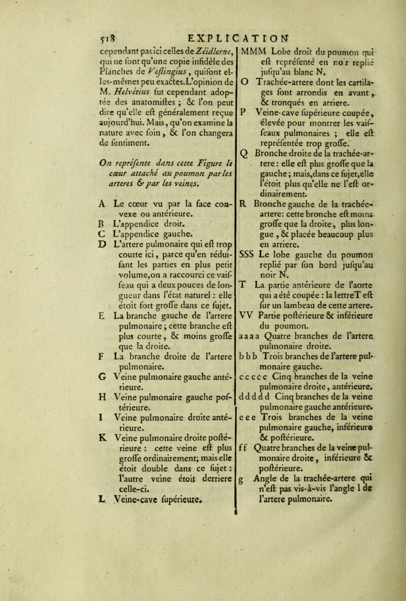 cependant pas ici celles de Zéidlerne, qui ne font qu’une copie infidèle des Planches de Veflingius, quifont el- les-mêmes peu exaéles.L’opinion de M. Helvétius fut cependant adop- tée des anatomiftes ; 8c l’on peut dire qu’elle eft généralement reçue aujourd’hui. Mais, qu’on examine la nature avec foin , 8c l’on changera de fentiment. On repréfente dans cette Figure le cœur attaché au poumon parles arteres & par les veines. A Le cœur vu par la face con- vexe ou antérieure. B L’appendice droit. C L’appendice gauche. D L ’artere pulmonaire qui eft trop courte ici, parce qu’en rédui- fant les parties en plus petit volume,on a raccourci ce vaif feau qui a deux pouces de lon- gueur dans l’état naturel : elle étoit fort groffe dans ce fujet. E La branche gauche de l’artere pulmonaire ; cette branche eft plus courte, 8c moins groffe que la droite. F La branche droite de l’artere pulmonaire. G Veine pulmonaire gauche anté- rieure. H Veine pulmonaire gauche pof- térieure. I Veine pulmonaire droite anté- rieure. K Veine pulmonaire droite pofté- rieure : cette veine eft plus groffe ordinairement; mais elle étoit double dans ce fujet : l’autre veine étoit derrière celle-ci. L Veine-cave fupérievite. MMM Lobe droit du poumon qui efl repréfenté en no r replié jufqu’au blanc N. O Trachée-artere dont les cartila- ges font arrondis en avant, 8c tronqués en arriéré. P Veine-cave fupérieure coupée, élevée pour montrer les vaif- feaux pulmonaires ; elle eft repréfentée trop groffe. Q Bronche droite de la trachée-ar- tere : elle eft plus groffe que la gauche ; mais,dans ce fujet,elle l’étoit plus qu’elle ne l’eft or- dinairement. R Bronche gauche de la trachée- artere: cette bronche eft moins groffe que la droite, plus lon- gue , 8c placée beaucoup plus en arriéré. SSS Le lobe gauche du poumon replié par fon bord jufqu’au noir N. T La partie antérieure de l’aorte qui a été coupée : la lettreT eft fur un lambeau de cette artere. VV Partie poftérieure 8c inférieure du poumon. aaaa Quatre branches de l’artere pulmonaire droite. bbb Trois branches de l’artere pul- monaire gauche. ccccc Cinq branches de la veine pulmonaire droite, antérieure. d d d d d Cinq branches de la veine pulmonaire gauche antérieure. eee Trois branches de la veine pulmonaire gauche, inférieure 8c poftérieure. f f Quatre branches de la veine pul- monaire droite, inférieure & poftérieure. g Angle de la trachée-artere qui n’eft pas vis-à-vis l’angle 1 de l’artere pulmonaire.