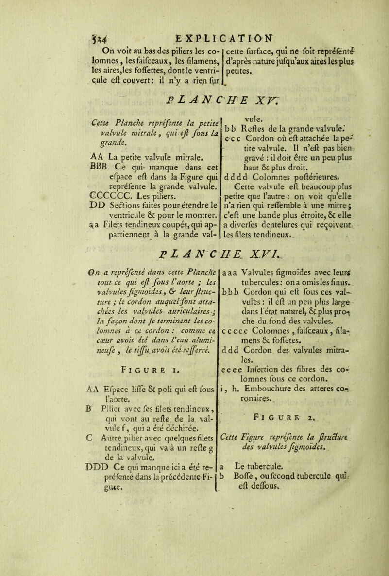 5:M E X P L I < On voit au bas des piliers les co- lomnes , les faifceaux, les filamens, les aires,les foflettes, dont le ventri- cule eft couvert : il n’y a rien fur FLANC Cette Planche repréfente la petite valvule mitrale, qui ef fous la grande. A A La petite valvule mitrale. B13B Ce qui- manque dans cet efpace eft dans la Figure qui repréfente la grande valvule. CCCCCC. Les piliers. DD Serions faites pour étendre le ventricule St pour le montrer. 3 a Filets tendineux coupés, qui ap- partiennent à la grande val- V L AN C On a repréfenté dans cette Planche tout ce qui ef fous l'aorte ; les valvules fgmoïdes, & leur frac- ture ; le cordon auquel font atta- chées les valvules auriculaires ; la façon dont Je terminent les co- lomnes à ce cordon : comme ce cœur avoit été dans l'eau alumi- neufe , le tijfu avoit été refferré. Figure i. AA Efpace lifte St poli qui eft fous l’aorte. B Pilier avec fes filets tendineux, qui vont au refte de la. val- vule f, qui a été déchirée. C Autre, piljer avec quelques filets tendineux, qui va à un refie g de la valvule, DDD Ce qui manque ici a été re- préfenté dans la précédente Fi- gute. : AT ION cette furface, qui ne foit repréfenté d’après nature jufqu’aux aires les plus petites. » HE XV. vule. b b Reftes de la grande valvule.' ccc Cordon où eft attachée lape- tite valvule. Il n’eft pas bien gravé : il doit être un peu plus haut St plus droit, dddd Colomnss poftérieures. Cette valvule eft beaucoup plus petite que l’autre : on voit qu’elle n’a rien qui refîemble à une mitre 5 c’eft une bande plus étroite, St elle a diverfes dentelures qui reçoivent les filets tendineux. HE XVI. aaa Valvules figmoïdes avec leurs tubercules: on a omis les finus. bbb Cordon qui eft fous ces val- vules : il eft un peu plus large dans l'état naturel) Stpluspro^ che du fond des valvules, cccc.c Colomnes , faifceaux , fila- mens St fofl'etes. ddd Cordon des valvules mitra- les. eeee Infertion des fibres des co-1 lomnes fous ce cordon, i, h. Embouchure des arteres co-» ronaires. F I G U R E 2. Cette Figure repréfente la fruclurt des valvules fgmoïdes. a Le tubercule, b Bofte, ou fécond tubercule qui eft deftous.