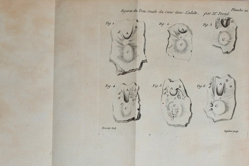 Pbmc/u* 2,2. Fiçur* du Traie Ova/e.- du, Cœur dmr d'adufa Fy-4- Tou\mr _T)el FÛ F.i y B Fu/.6. d De/cArT Jczü£? . W\W