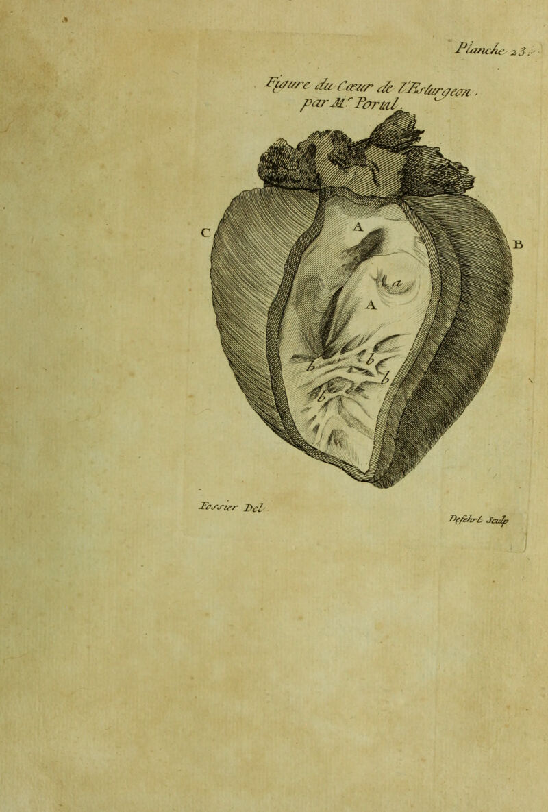 IJIclflcAt' 2.3 Fiûs/rr //?/ rsï>7,r* F* 7't? Fessier Del/- Dç/hïcrS Jcidf?