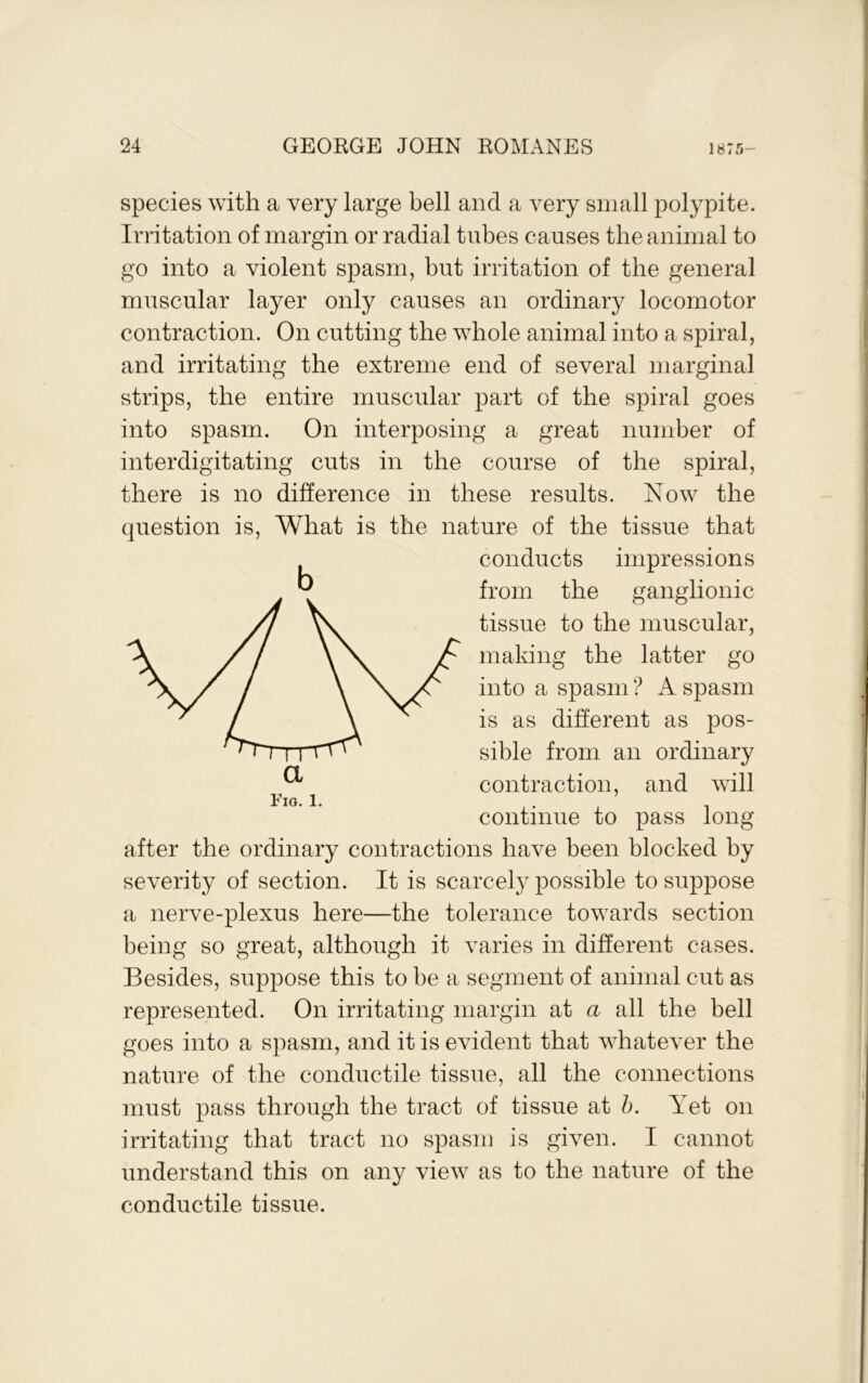 species with a very large bell and a very small polypite. Irritation of margin or radial tubes causes the animal to go into a violent spasm, but irritation of the general muscular layer only causes an ordinary locomotor contraction. On cutting the whole animal into a spiral, and irritating the extreme end of several marginal strips, the entire muscular part of the spiral goes into spasm. On interposing a great number of interdigitating cuts in the course of the spiral, there is no difference in these results. Now the question is. What is the nature of the tissue that after the ordinary contractions have been blocked by severity of section. It is scarcely possible to suppose a nerve-plexus here—the tolerance towards section being so great, although it varies in different cases. Besides, suppose this to be a segment of animal cut as represented. On irritating margin at a all the bell goes into a spasm, and it is evident that whatever the nature of the conductile tissue, all the connections must pass through the tract of tissue at h. Yet on irritating that tract no spasm is given. I cannot understand this on any view as to the nature of the conductile tissue. Fig. 1. a b conducts impressions from the ganglionic tissue to the muscular, making the latter go into a spasm ? A spasm is as different as pos- sible from an ordinary contraction, and will continue to pass long