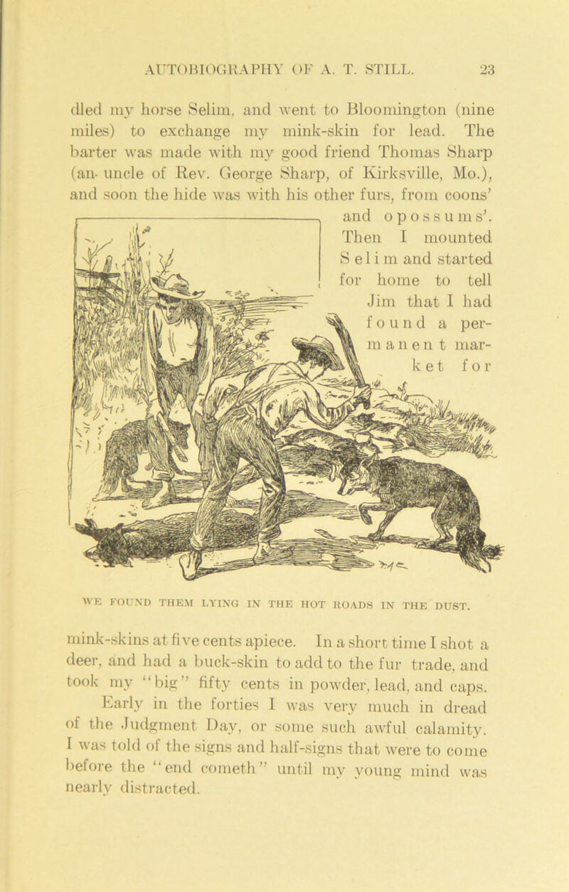 died my horse Selim, and went to Bloomington (nine miles) to exchange my mink-skin for lead. The barter was made with ray good friend Thomas Sharp (an- uncle of Rev. George Sharp, of Kirksville, Mo.), and soon the hide was with his other furs, from coons’ and opossums’. Then I mounted Selim and started for home to tell Jim that I had found a per- manent mar- k e t for WE FOUND THEM LYING IN THE HOT ROADS IN THE DUST. mink-skins at five cents apiece. In a short time I shot a deer, and had a buck-skin to add to the fur trade, and took my “big” fifty cents in powder, lead, and caps. harly in the forties I was very much in dread of the Judgment Bay, or some such awful calamity. I was told of the signs and half-signs that were to come before the “end cometh” until mv young mind was nearly distracted.