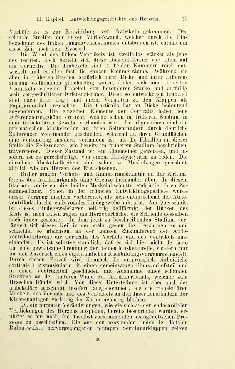 Voiliöfe ist es zur Entwicklung von Trabekeln gekommen. Der schmale Streifen der linken Vorliofswand, welcher durch die Ein- beziehung des linken Lungenvenenstammes entstanden ist, enthält um diese Zeit noch kein Myocard. Die Wand des linken Ventrikels ist zweifellos stärker als jene des rechten, doch bezieht sich diese Dickenditferenz vor allem auf die Corticalis. Die Trabekeln sind in beiden Kammern reich ent- wickelt und erfüllen fast die ganzen Kammerräume. Während sie aber in früheren Stadien bezüglich ihrer Dicke und ihrer Differen- zierung vollkommen gleichmäßig waren, finden sich nun in beiden Ventrikeln einzelne Trabekel von besonderer Stärke und auffällig- weit vorgeschrittener Differenzierung. Diese so entwickelten Trabekel sind nach ihrer Lage und ihrem Verhalten zu den Klappen als Papillarmuskel anzusehen. Die Corticalis hat an Dicke bedeutend zugenommeu. Die einzelnen Elemente der Corticalis haben jene Differenzierungshöhe erreicht, welche schon im früheren Stadium in dem trabekulären Gewebe vorhanden war. Im allgemeinen sind die prismatischen Muskelzellen an ihren Seitenrändern durch deutliche Zellgrenzen voneinander geschieden, während an ihren Grundflächen eine Verbindung insofern vorhanden ist, als die Fibrillen an dieser Stelle die Zellgrenzen, wie bereits im früherem Stadium beschrieben, traversieren. Dieser Zustand ist ein allgemeiner geworden, und in- sofern ist es gerechtfertigt, von einem Herzsyncytium zu reden. Die einzelnen Muskelzellreihen sind schon zu Muskelzügen geordnet, ähnlich wie am Herzen des Erwachsenen. Bisher gingen Vorhofs- und Kammermnskulatur an der Zirkum- ferenz des Aurikularkanals ohne Grenze ineinander über. In diesem Stadium verlieren die beiden Muskelabschnitte endgültig ihren Zu- sammenhang. Schon in der früheren Entwickluugsperiode wurde dieser Vorgang insofern vorbereitet, als sich entsprechend der Atrio- ventrikularfurche embryonales Bindegewebe anhäufte. Am Querschnitt ist dieses Bindegewebslager beiläufig keilförmig, der Rücken des Keils ist nach außen gegen die Herzoberfläche, die Schneide desselben nach innen gerichtet. In dem jetzt zu beschreibenden Stadium ver- längert sich dieser Keil immer mehr gegen das Herzlumen zu und schneidet so gleichsam an der ganzen Zirkumferenz der Atrio- ventrikularfurche die Corticalis des Vorhofs und des Ventrikels aus- einander. Es ist selbstverständlich, daß es sich hier nicht de facto um eine gewaltsame Trennung der beiden Muskelanteile, sondern nur um den Ausdruck eines eigentümlichen Rückbildungsvorganges handelt. Durch diesen Prozeß wird demnach die ursprünglich einheitliche corticale Herzmuskulatur in einen gemeinsamen Sinusvorhofsteil und in einen Ventrikelteil geschieden mit Ausnahme eines schmalen Streifens an der hinteren Wand des Aurikularkanals, welcher zum Hisscheu Bündel wird. Von dieser Unterteilung ist aber auch der trabekuläre Abschnitt insofern ausgenommen, als die trabekulären Muskeln des Vorhofs und des Ventrikels an den Insertionsrändern der Klappenanlagen vorläufig im Zusammenhang bleiben. Da die formalen Veränderungen, wie sie sich an den endocardialen Verdickungen des Herzens abspielen, bereits beschrieben wurden, er- übrigt es nur noch, die daselbst vorkommenden histogenetischen Pro- zesse zu beschreiben. Die aus den proximalen Enden der distalen Bulbuswülste hervorgegangenen plumpen Semilunarklappen zeigen 39