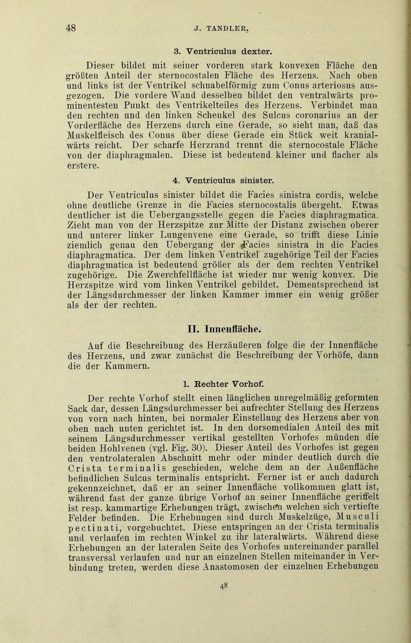 3. Ventriculus dexter. Dieser bildet mit seiner vorderen stark konvexen Fläche den größten Anteil der sternocostalen Fläche des Herzens. Nach oben und links ist der Ventrikel schnabelförmig zum Conus arteriosus ans- gezogen. Die vordere Wand desselben bildet den ventralwärts pro- minentesten Punkt des Ventrikelteiles des Herzens. Verbindet man den rechten und den linken Schenkel des Sulcus coronarius an der Vorderliäche des Herzens durch eine Gerade, so sieht man, daß das Muskelfleisch des Conus über diese Gerade ein Stück weit kranial- wärts reicht. Der scharfe Herzrand trennt die sternocostale Fläche von der diaphragmalen. Diese ist bedeutend kleiner und flacher als erstere. 4. Ventriculus sinister. Der Ventriculus sinister bildet die Facies sinistra cordis, welche ohne deutliche Grenze in die Facies sternocostalis übergeht. Etwas deutlicher ist die Uebergangsstelle gegen die Facies diaphragmatica. Zieht man von der Herzspitze zur Mitte der Distanz zwischen oberer und unterer linker Lungenvene eine Gerade, so trifft diese Linie ziemlich genau den Uebergang der ^acies sinistra in die Facies diaphragmatica. Der dem linken Ventrikel zugehörige Teil der Facies diaphragmatica ist bedeutend größer als der dem rechten Ventrikel zugehörige. Die Zwerchfellfläche ist wieder nur wenig konvex. Die Herzspitze wird vom linken Ventrikel gebildet. Dementsprechend ist der Längsdurchmesser der linken Kammer immer ein wenig größer als der der rechten. II. Innenfläche. Auf die Beschreibung des Herzäußeren folge die der Innenfläche des Herzens, und zwar zunächst die Beschreibung der Vorhöfe, dann die der Kammern. 1. Rechter Vorhof. Der rechte Vorhof stellt einen länglichen unregelmäßig geformten Sack dar, dessen Längsdurchmesser bei aufrechter Stellung des Herzens von vorn nach hinten, bei normaler Einstellung des Herzens aber von oben nach unten gerichtet ist. In den dorsomedialen Anteil des mit seinem Längsdurchmesser vertikal gestellten Vorhofes münden die beiden Hohlvenen (vgl. Fig. 30). Dieser Anteil des Vorhofes ist gegen den ventrolateralen Abschnitt mehr oder minder deutlich durch die Crista terminalis geschieden, welche dem an der Außenfläche befindlichen Sulcus terminalis entspricht. Ferner ist er auch dadurch gekennzeichnet, daß er an seiner Innenfläche vollkommen glatt ist, während fast der ganze übrige Vorhof an seiner Innenfläche geriffelt ist resp. kammartige Erhebungen trägt, zwisch^ welchen sich vertiefte Felder beflnden. Die Erhebungen sind durch Muskelzüge, Musculi pectiuati, vorgebuchtet. Diese entspringen an der Crista terminalis und verlaufen im rechten Winkel zu ihr lateralwärts. Während diese Erhebungen an der lateralen Seite des Vorhofes untereinander parallel transversal verlaufen und nur an einzelnen Stellen miteinander in Ver- bindung treten, werden diese Anastomosen der einzelnen Erhebungen 48